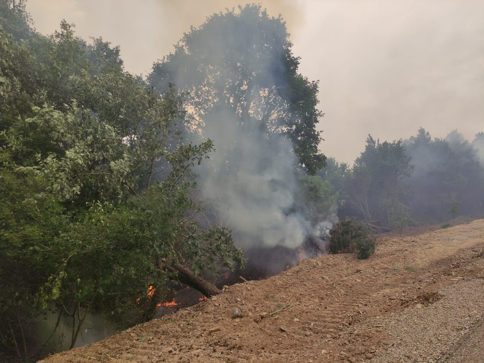 trabajos-contra-el-fuego-de-la-carretera-de-mahide-10