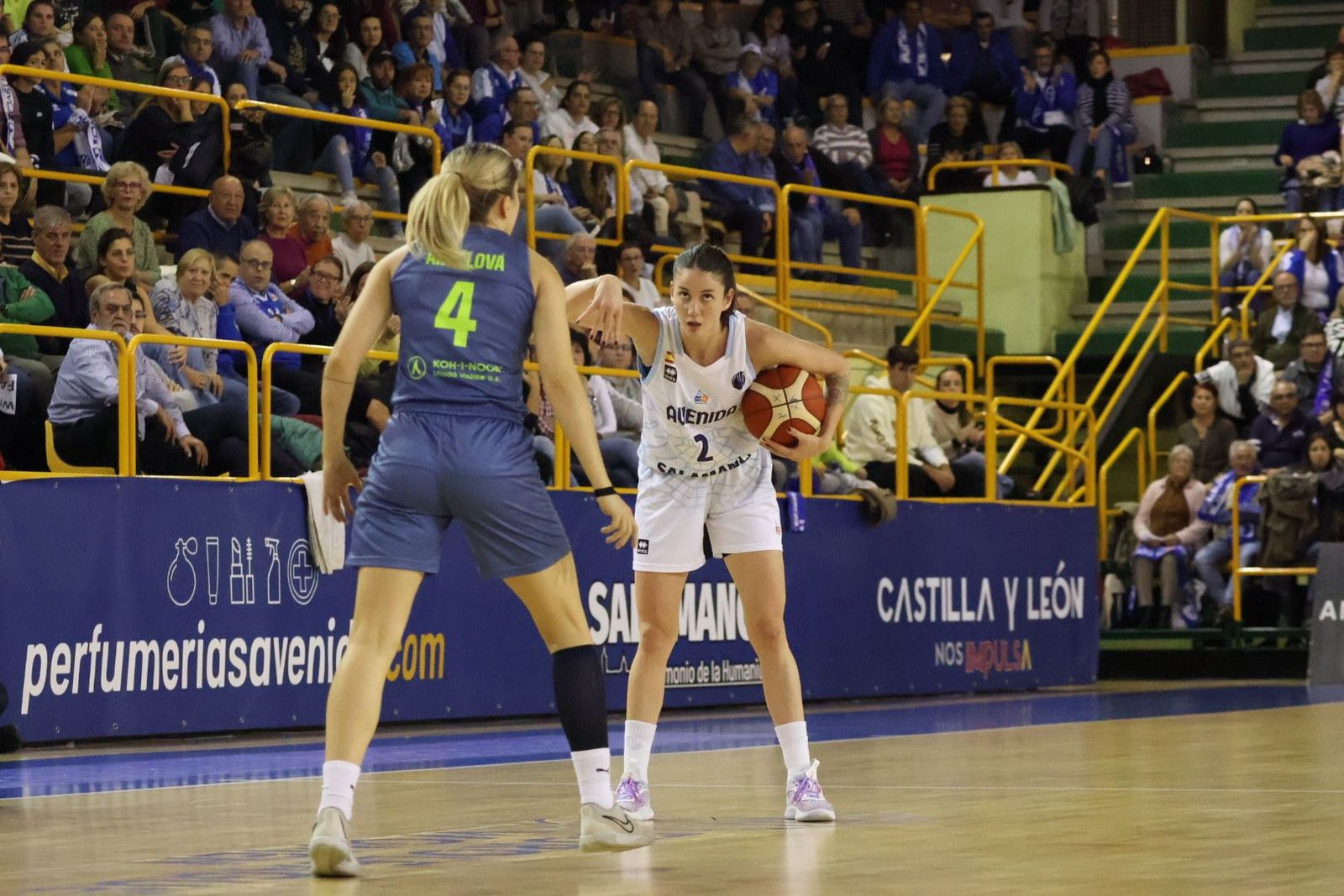 20231025194724-img-5270