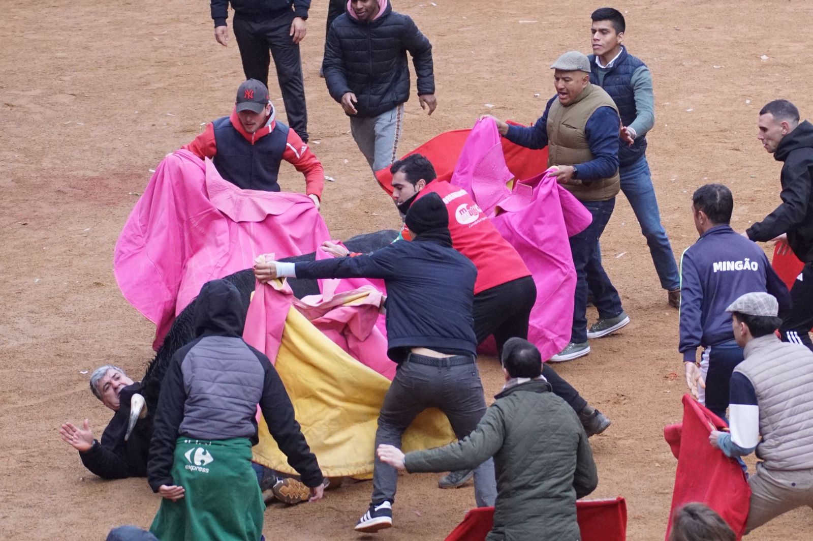 Capea matinal de domingo de carnaval en Ciudad Rodrigo (38).jpeg