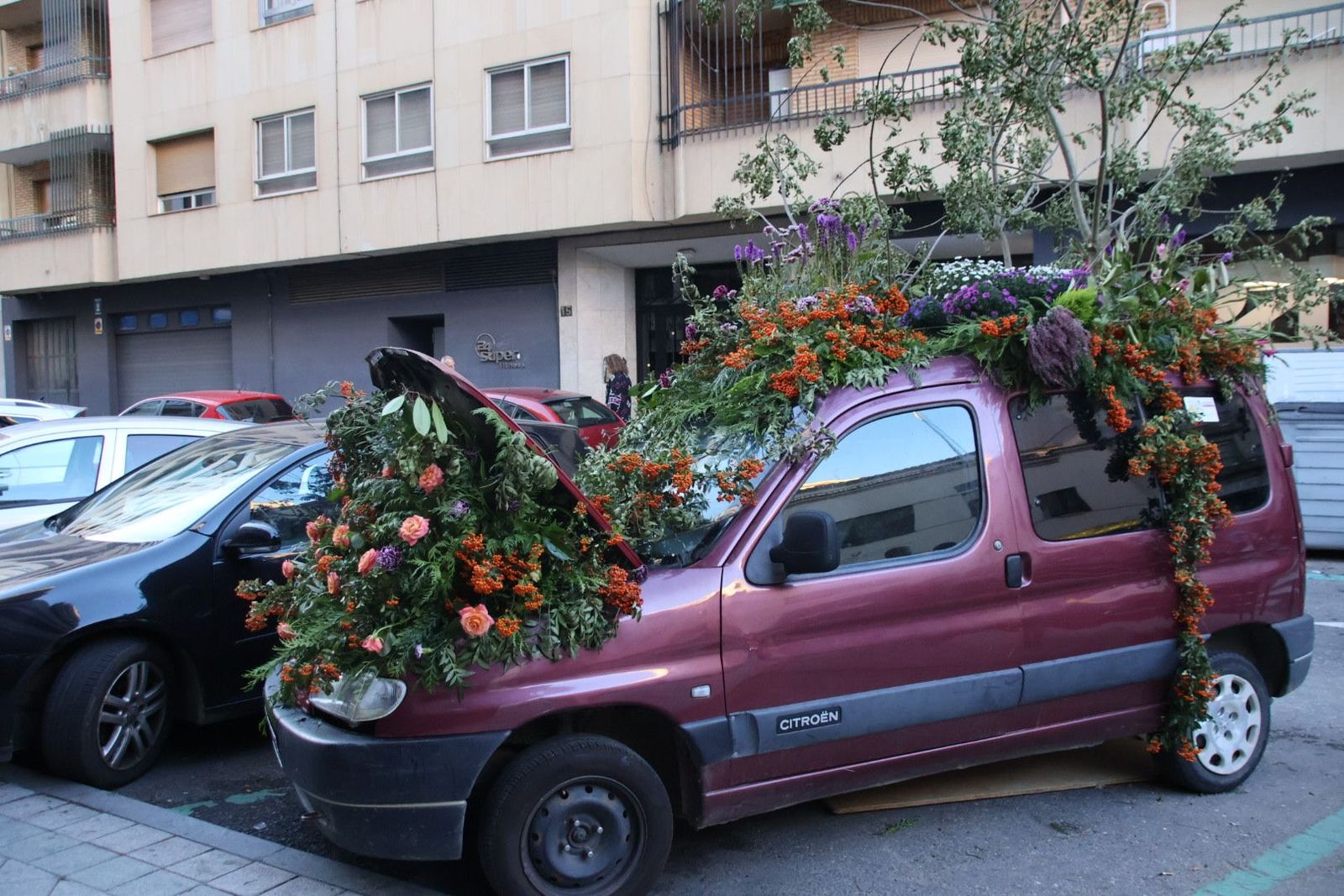 'El jardín' más peculiar del Barrio del Oeste