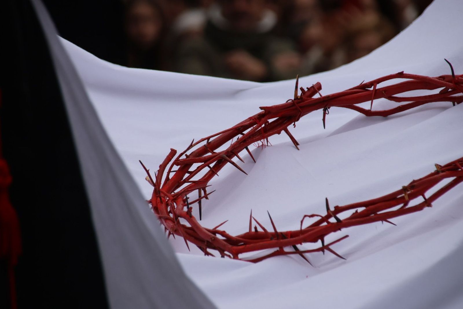 20240330170731-img-5939