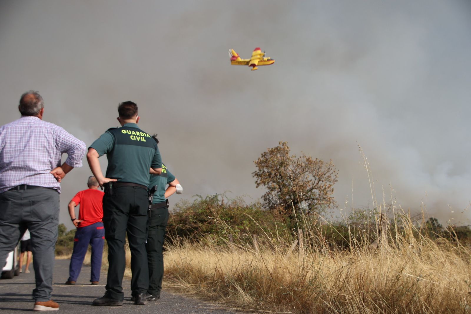 El incendio de Cipérez (IGR2) llega hasta Cerezal de Puertas