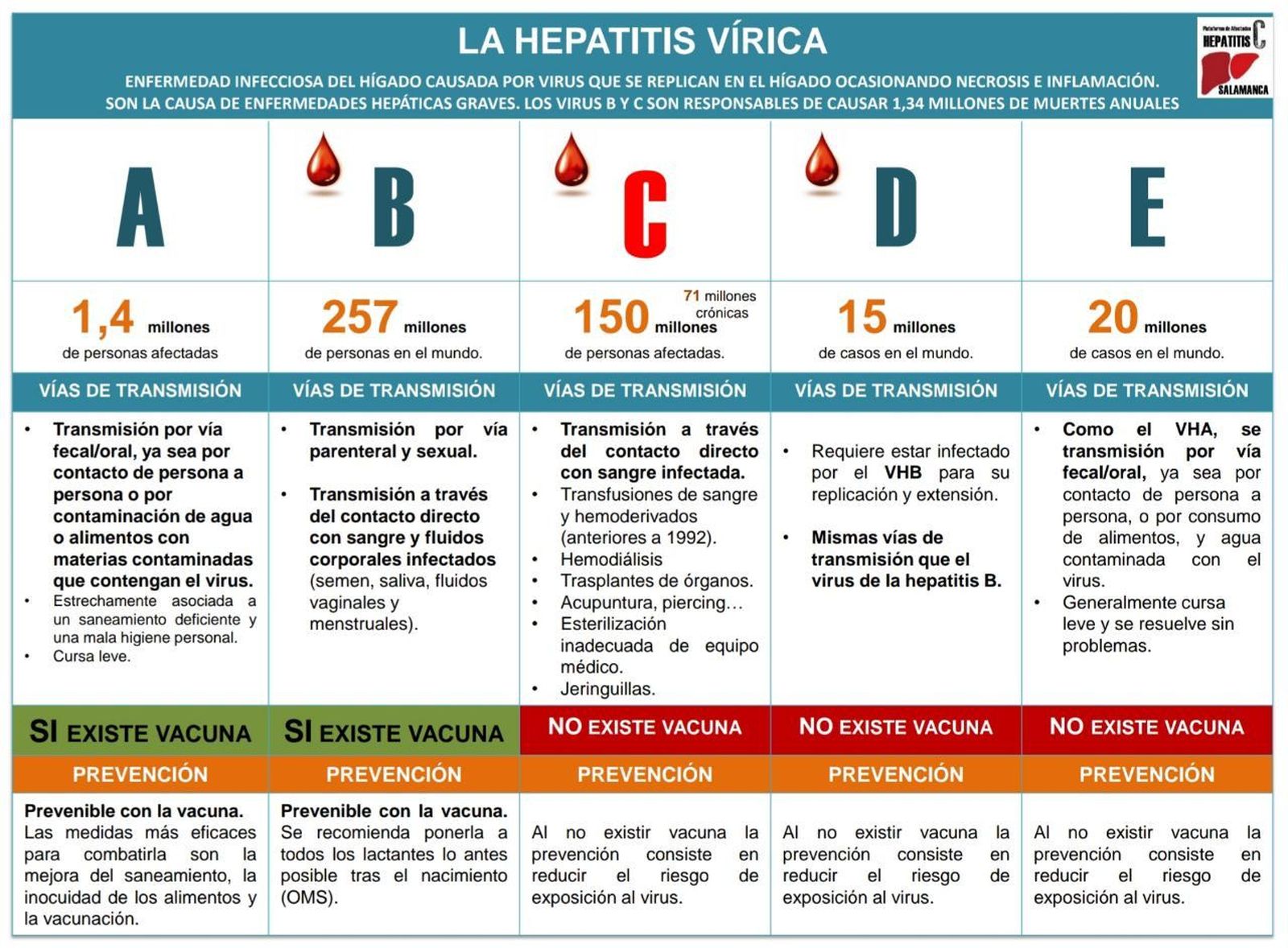 Tipos de hepatitis