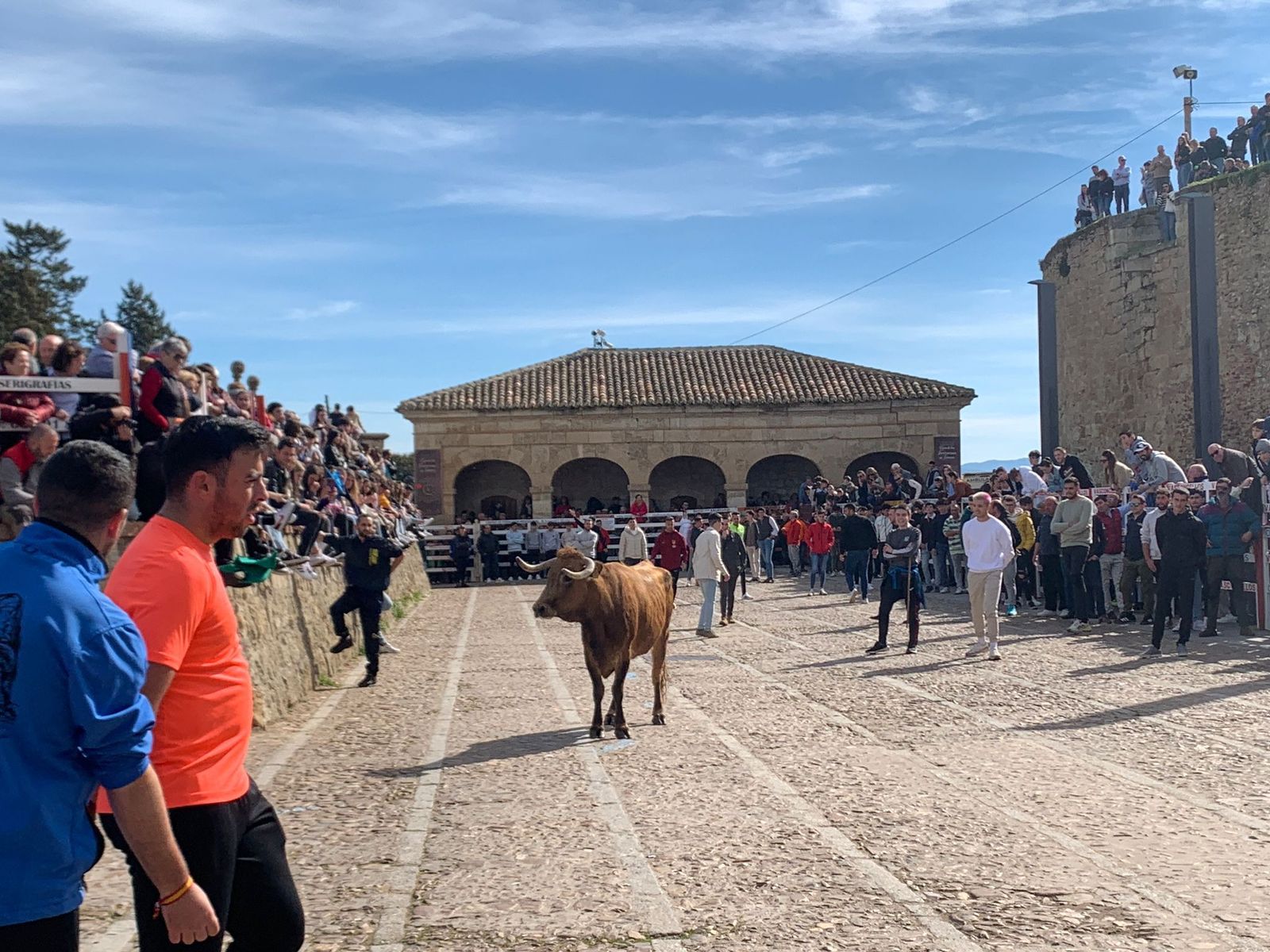 ambiente-con-la-suelta-de-vaquillas-en-el-domingo-de-pinata-en-ciudad-rodrigo-6