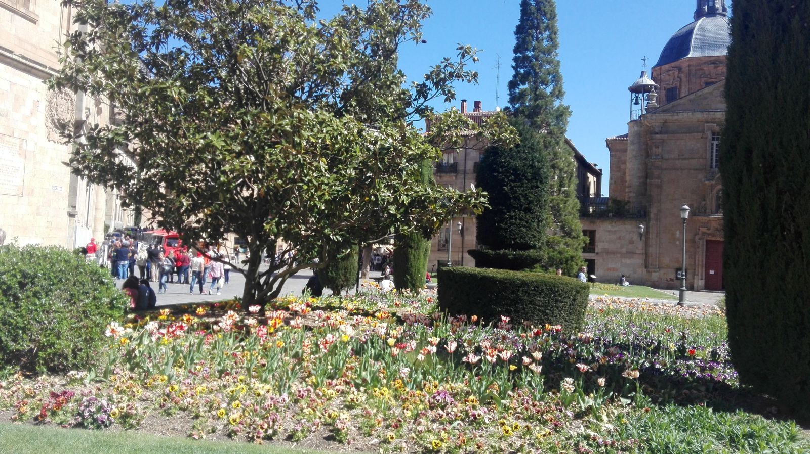 Primavera, Salamanca 01