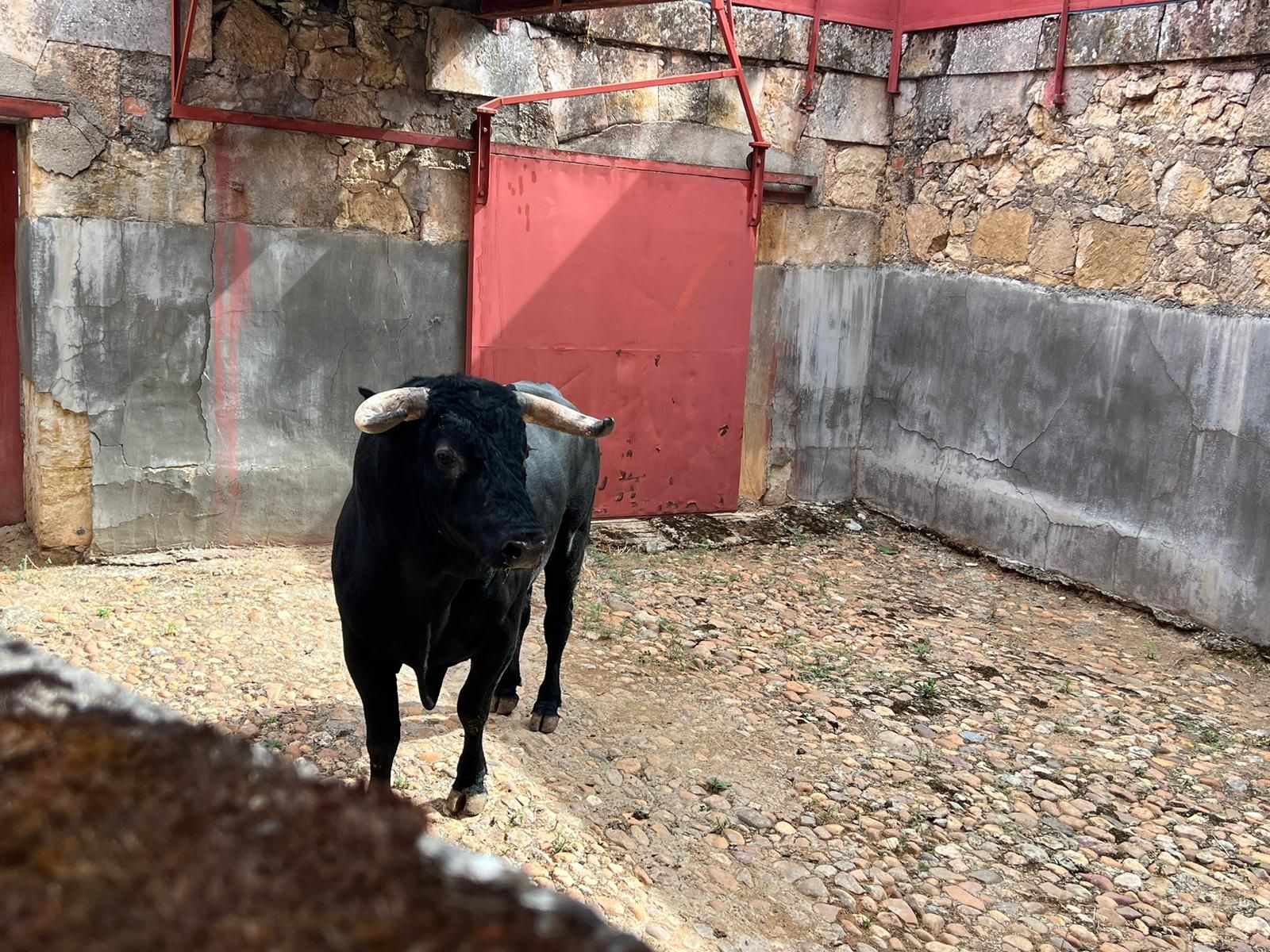 whatsapp-image-2023-09-09-at-12-27-34