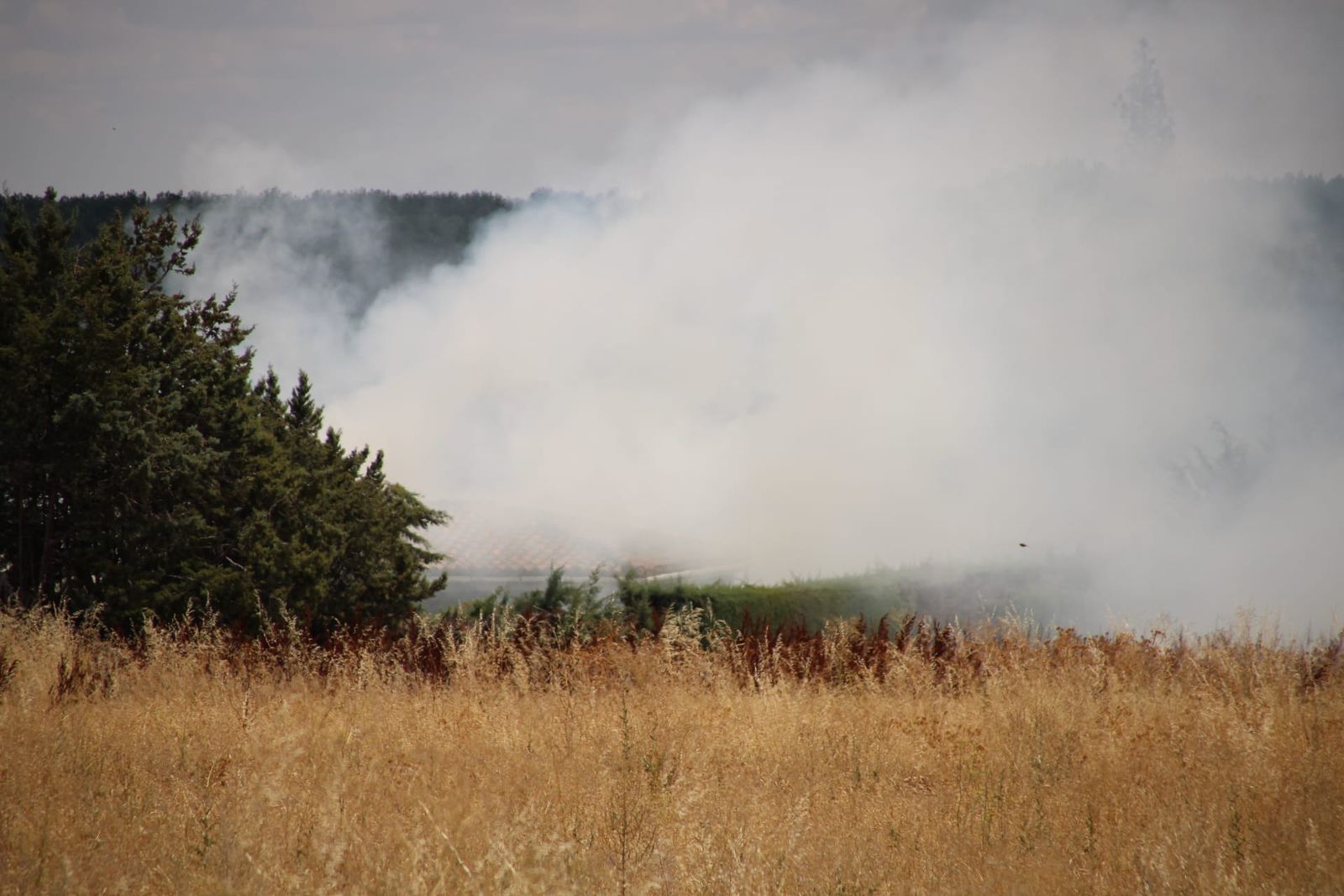 whatsapp-image-2024-08-14-at-14-25-51-3