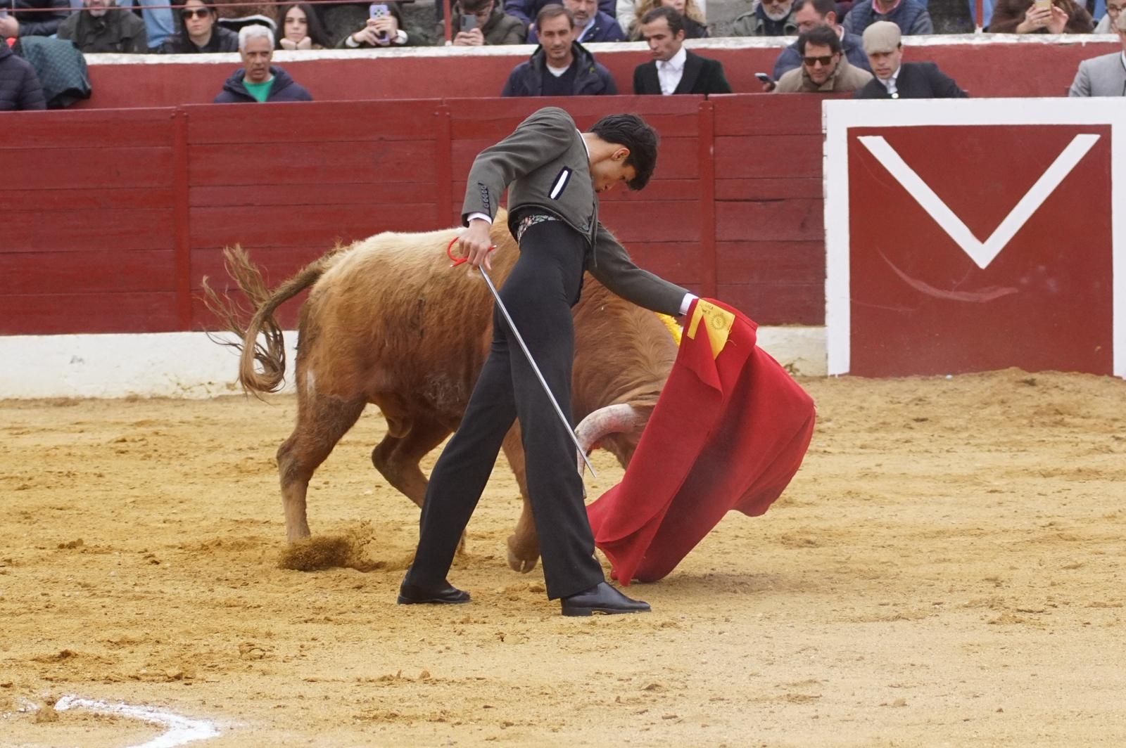 Festival taurino en Villoria