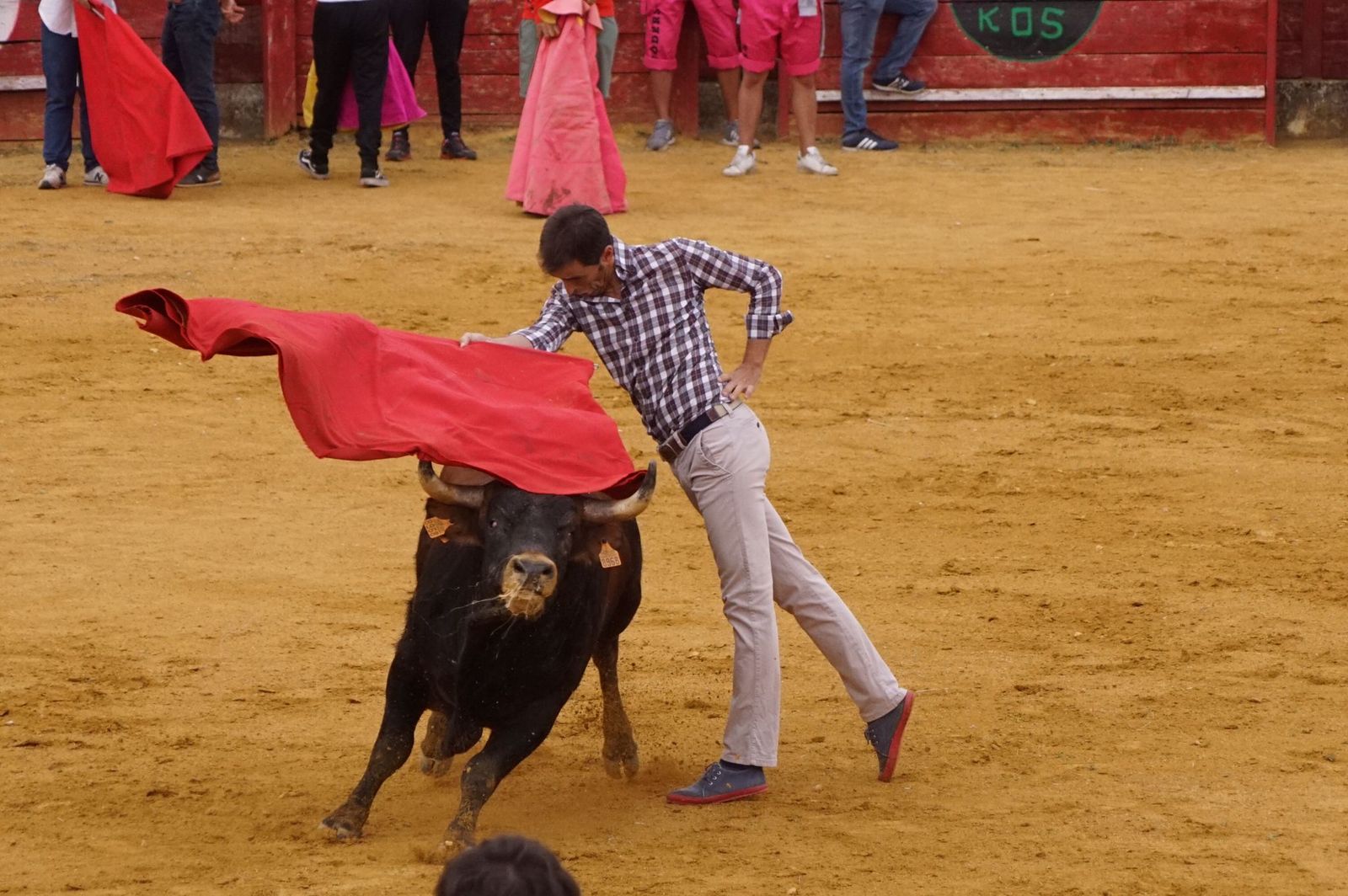 92ba5e0c-9323-463b-8ed6-2b5117cfebdc