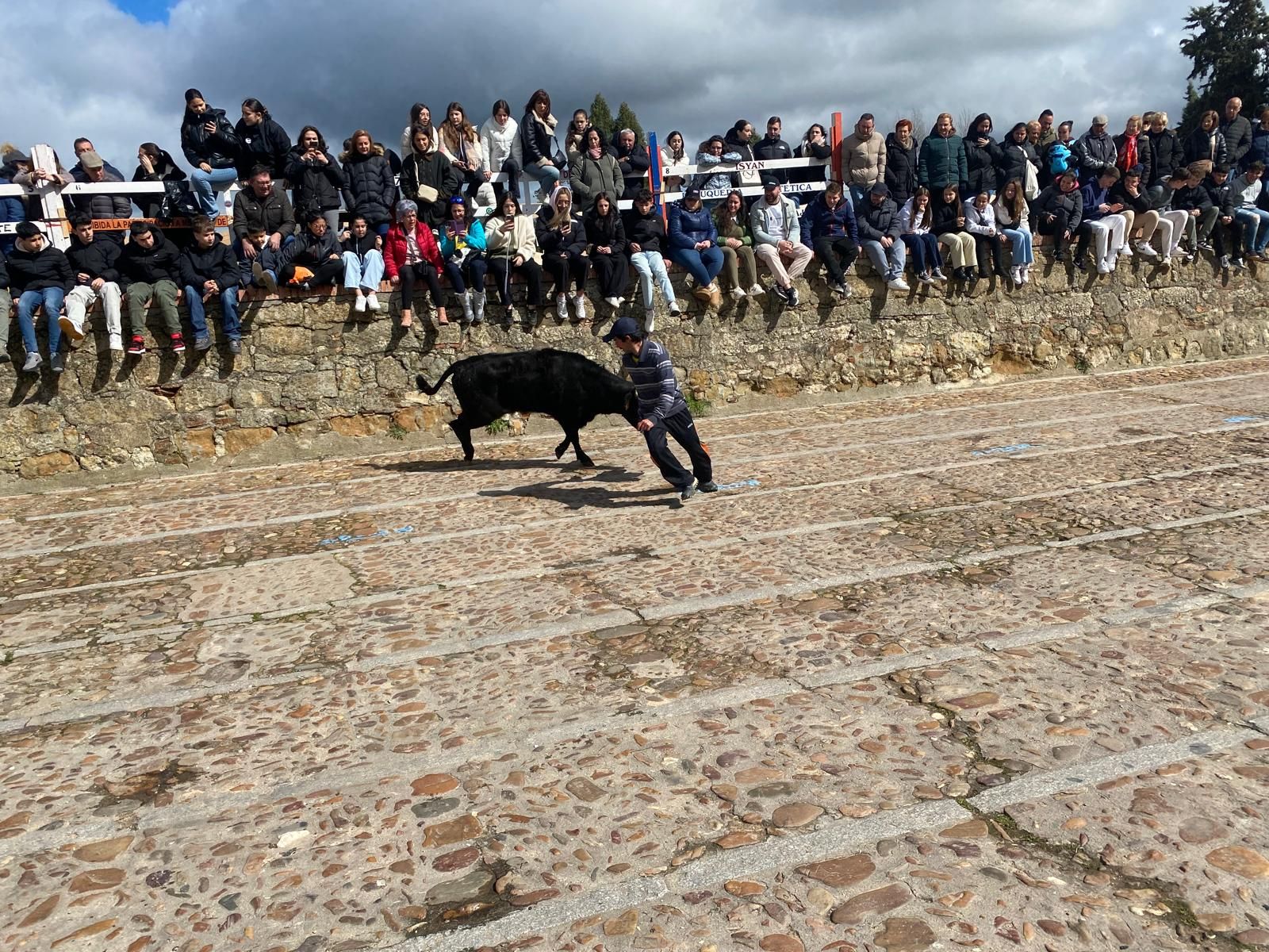 suelta-de-vaquillas-por-el-domingo-de-pinata-en-ciudad-rodrigo-9-de-marzo-de-2025-16