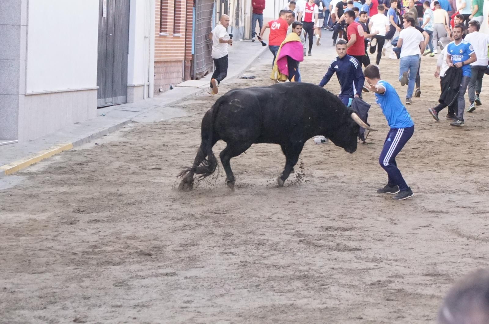 Toro del cajón y capea en Alba de Tormes