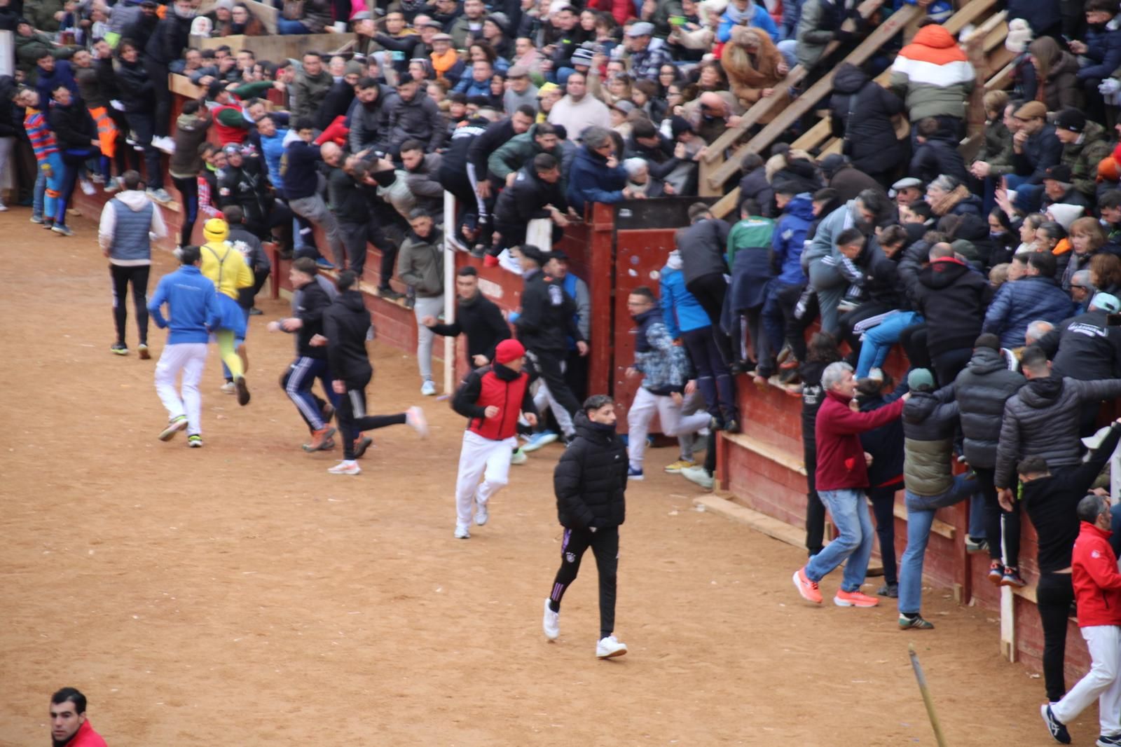 Encierro a Caballo en el Carnaval del Toro 2026 de Ciudad Rodrigo