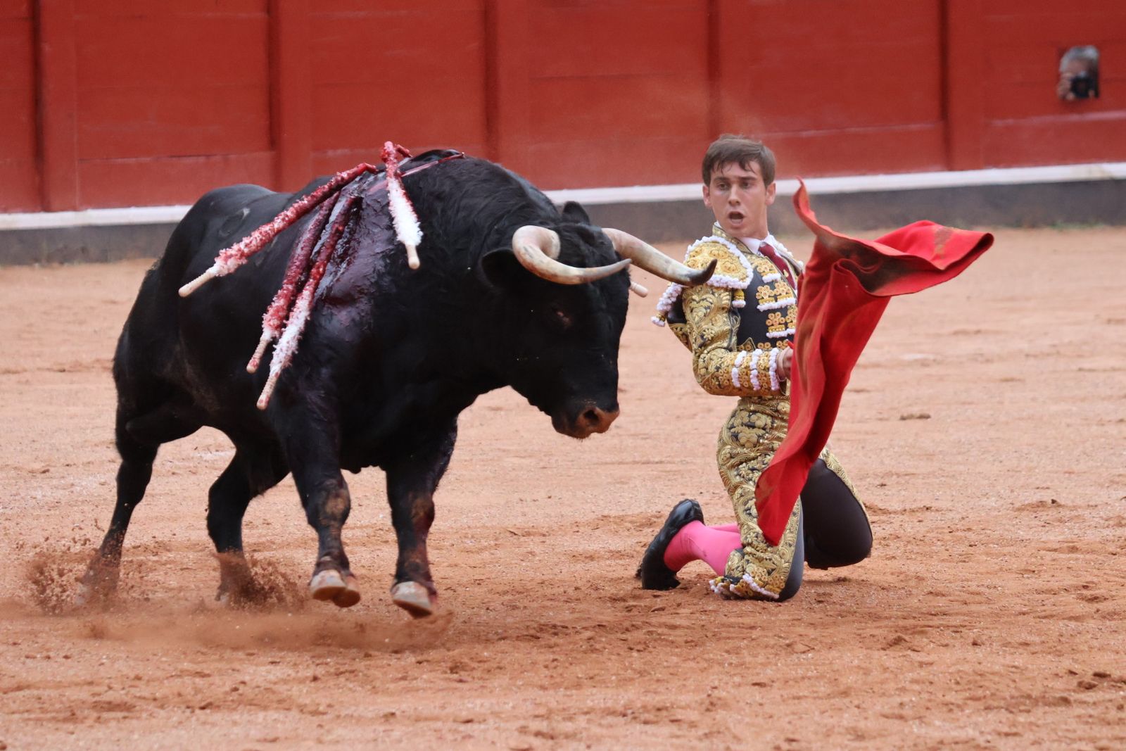 Ismael Martín, Marco Pérez y el aclamado regreso de Morante de la Puebla: su paso por La Glorieta en imágenes