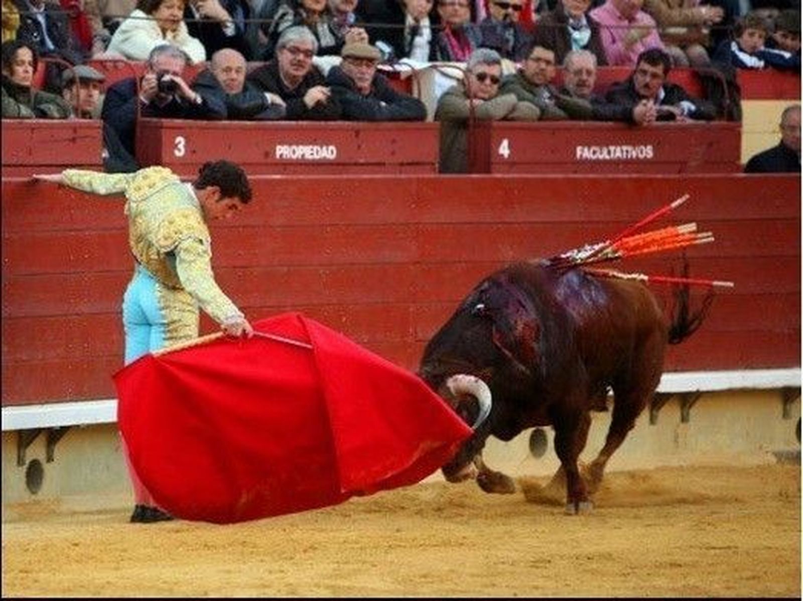 Adrián, Puerta Grande con otra buena novillada de El Parralejo