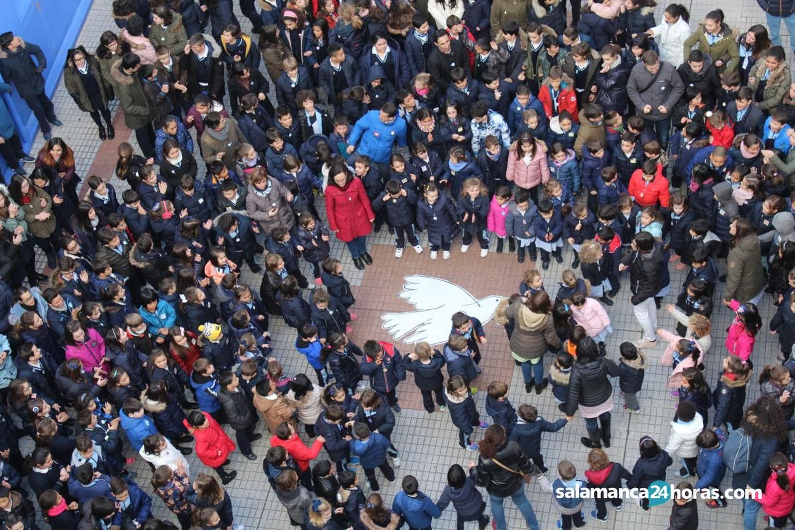 Paz amor de dios (27)