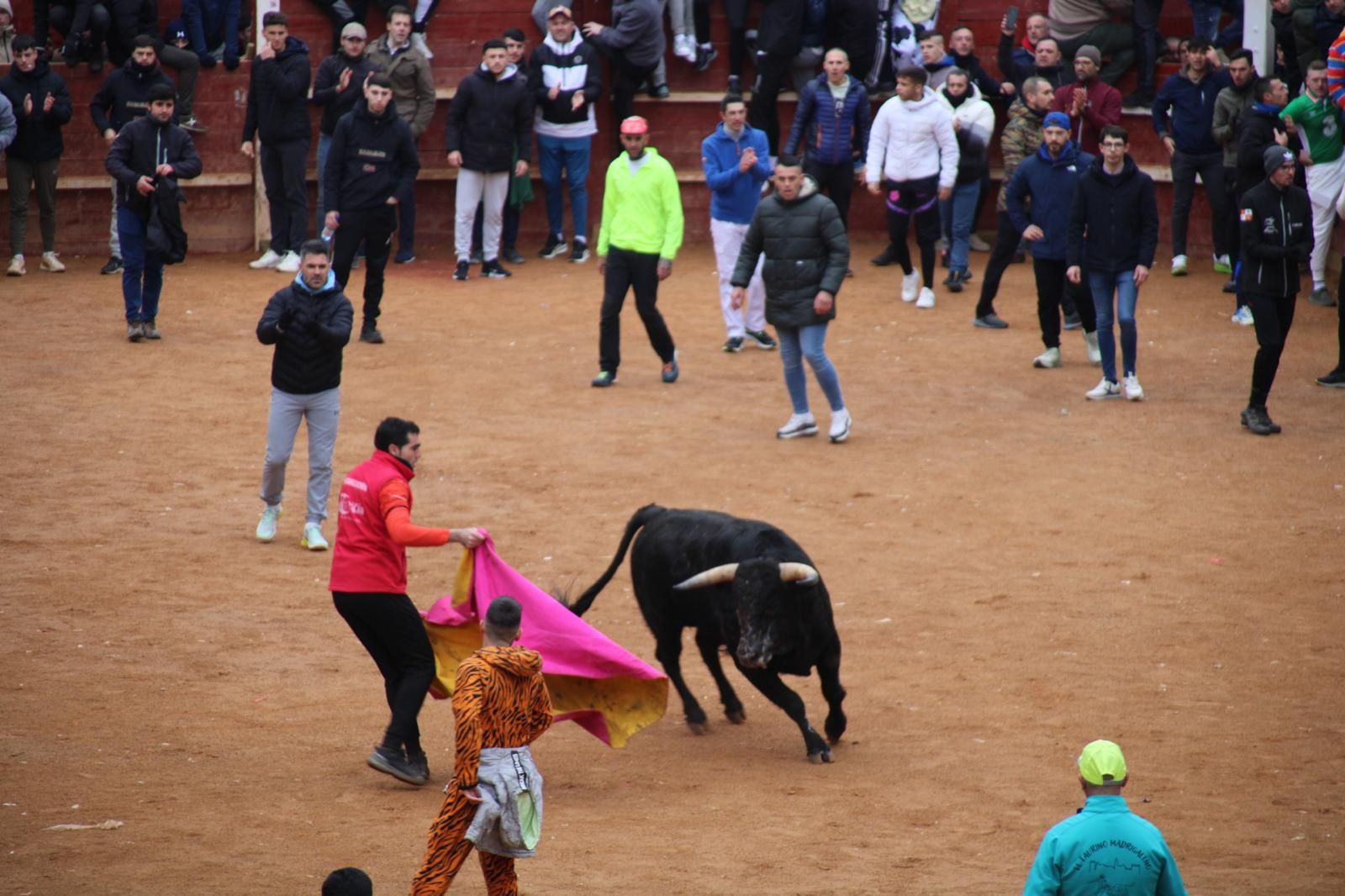Encierro a Caballo en el Carnaval del Toro 2026 de Ciudad Rodrigo