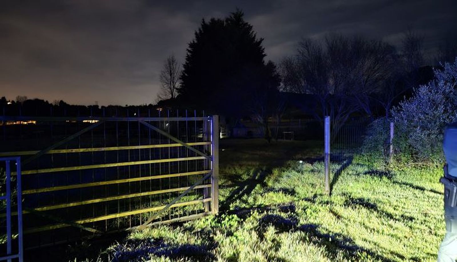 WhatsApp Image 2025 02 10 at 21.43.03