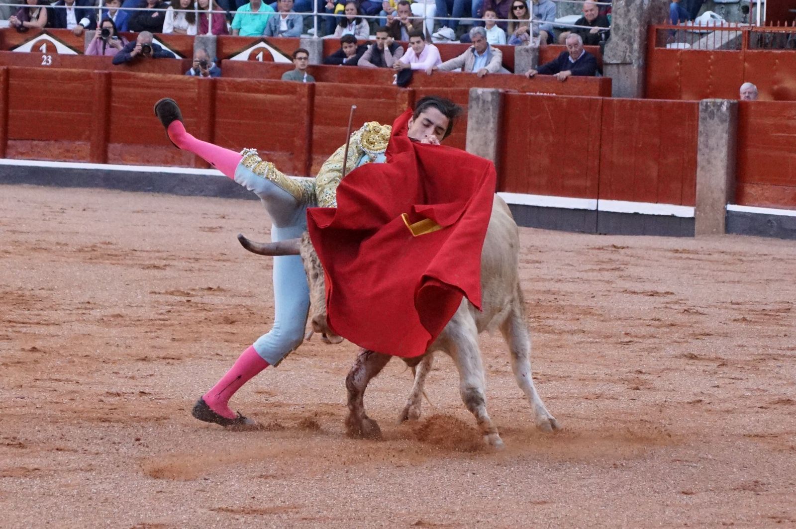 whatsapp-image-2022-09-08-at-9-20-34-pm-1