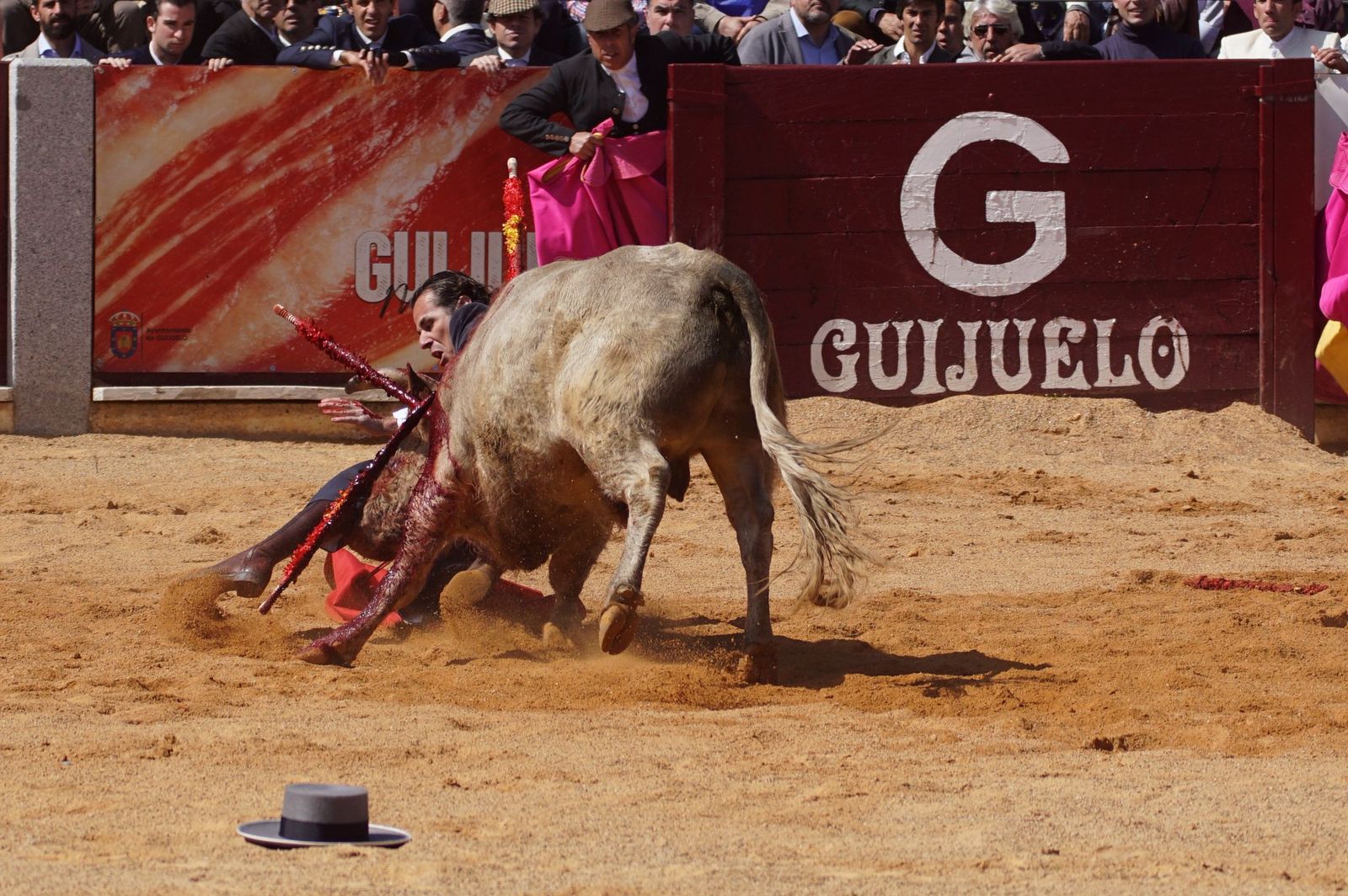 Festival taurino solidario por la esclerosis múltiple en Guijuelo
