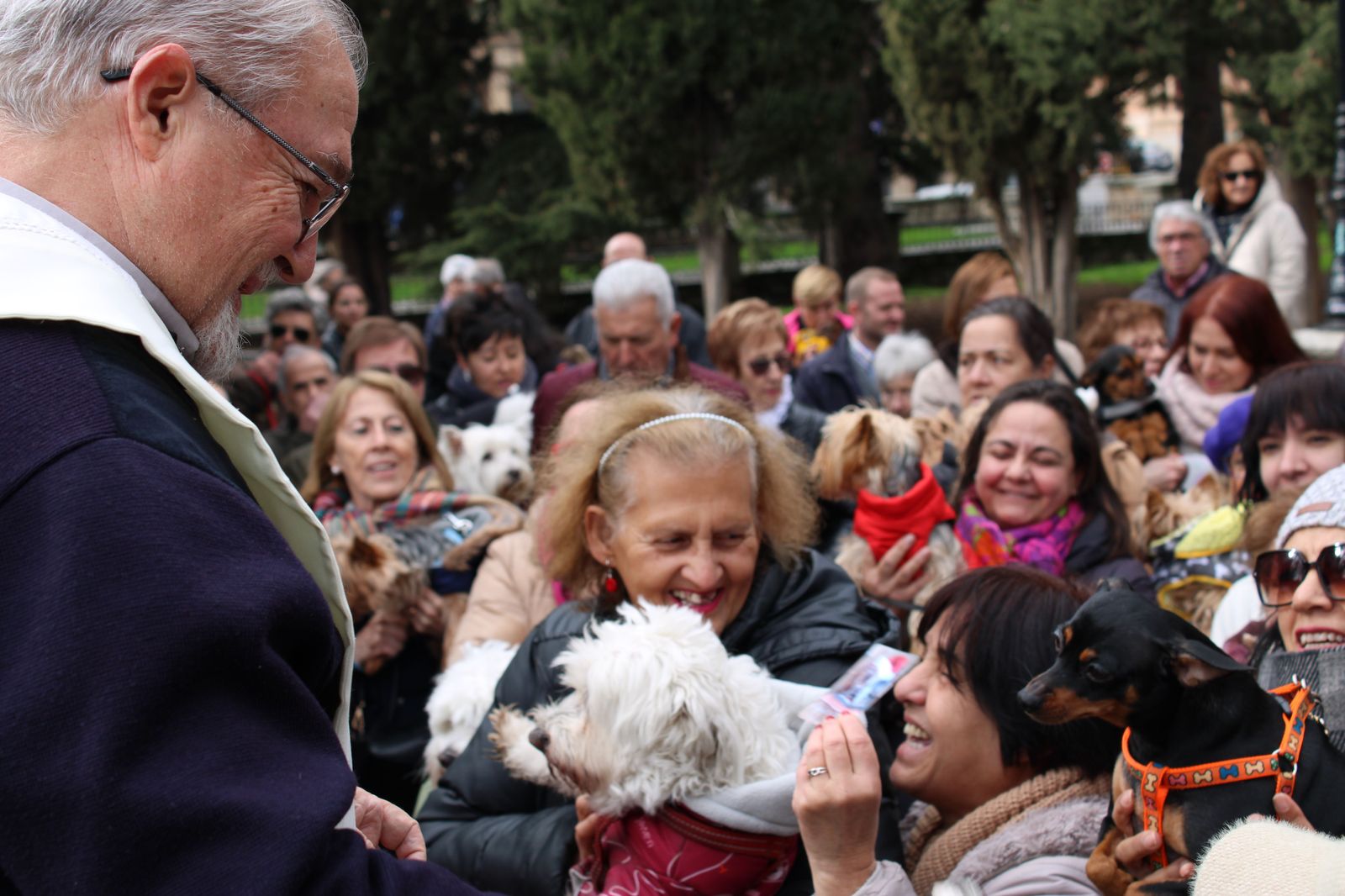 san-anton-bendicion-de-animales-2024-foto-s24h-63
