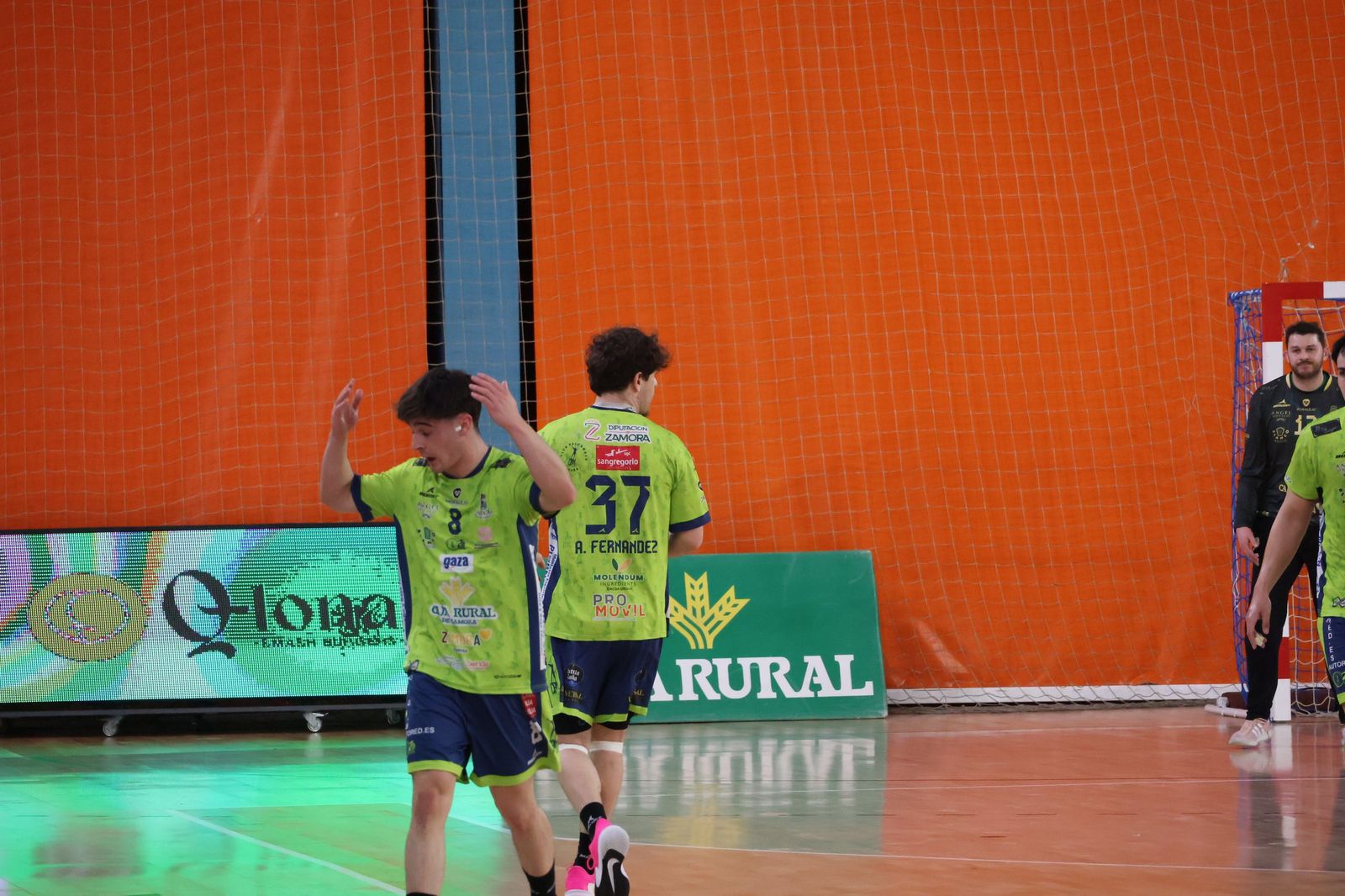 BM Zamora - Royal Premium Gijón (43).JPG