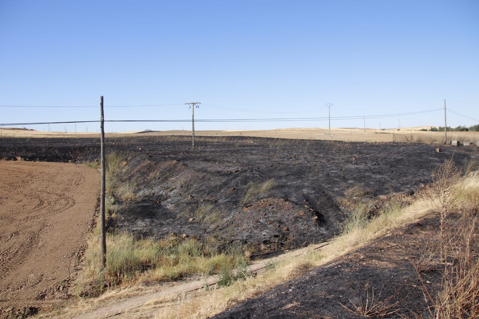 07c543fc-a49f-4a0e-9350-cebf7e70cecb