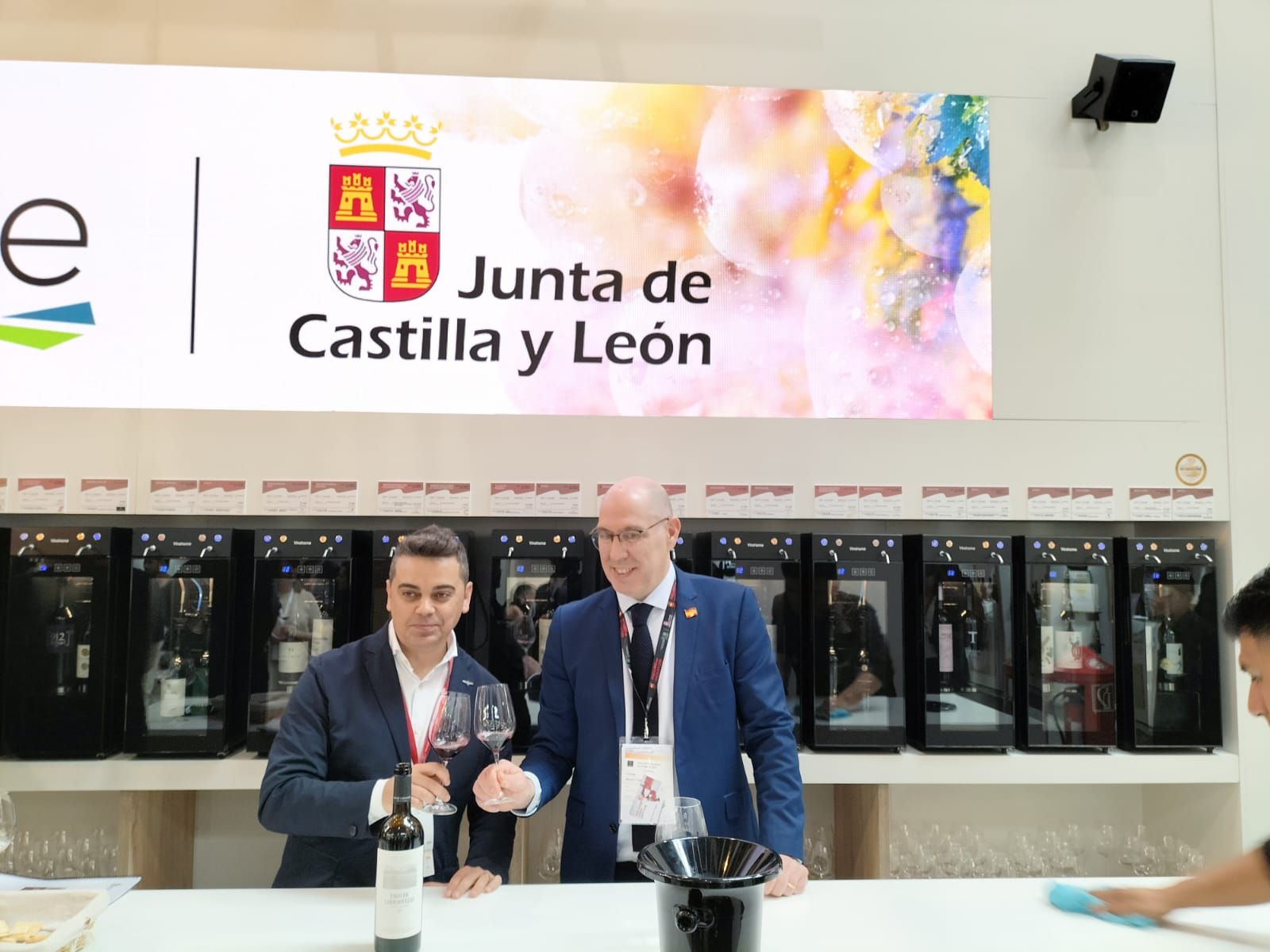 Viceconsejero en Prowine