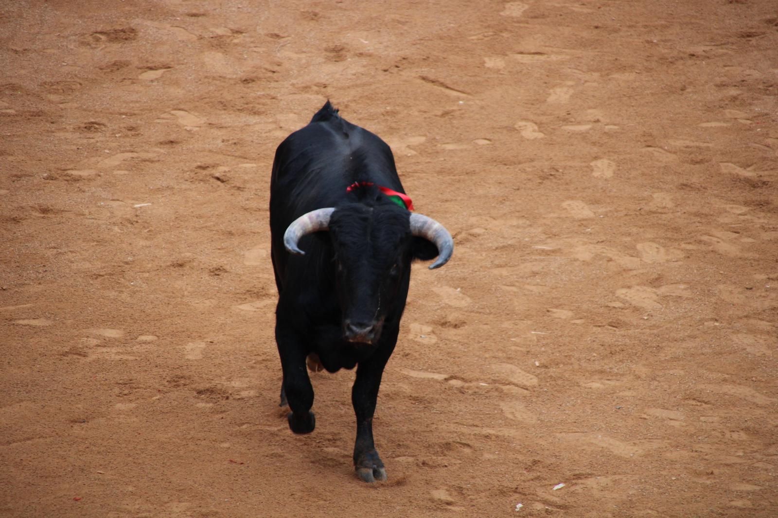 whatsapp-image-2025-03-02-at-18-55-01