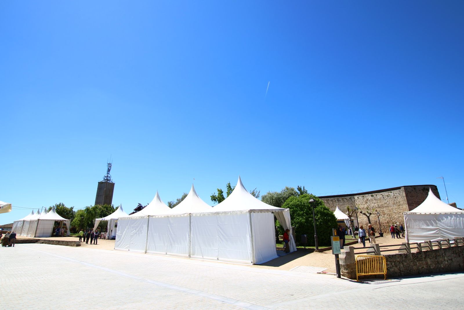 Ledesma ensalza la tradición salmantina con su Feria Alimentaria y Muestra Artesana