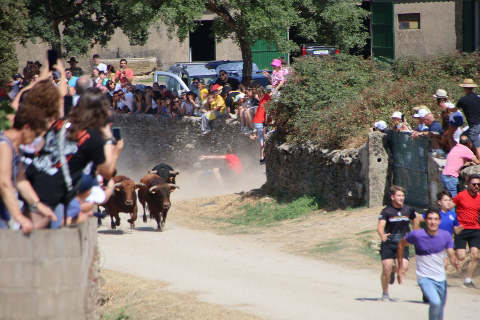Lumbrales encierro a caballo