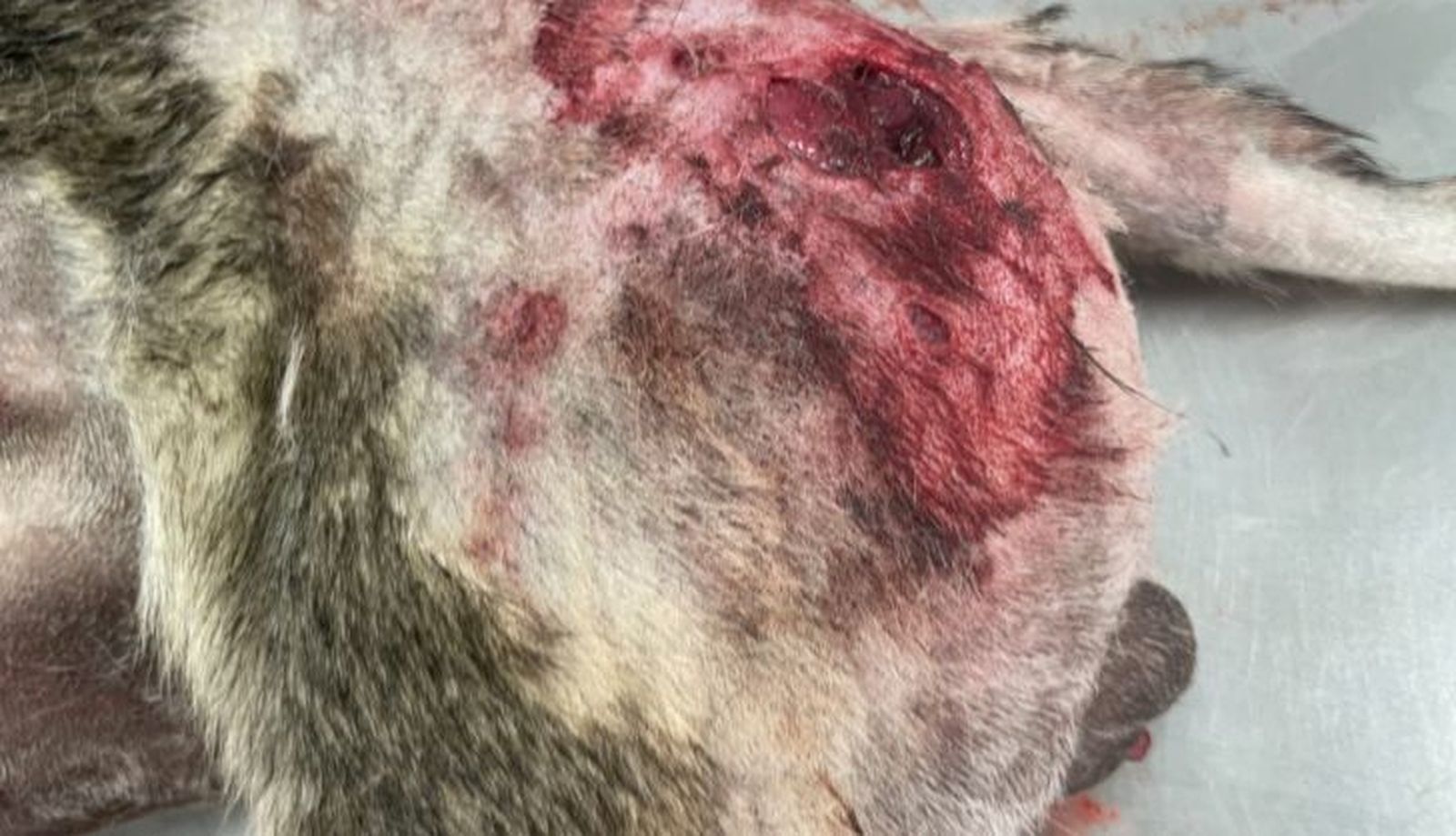 Una de las heridas de Risco