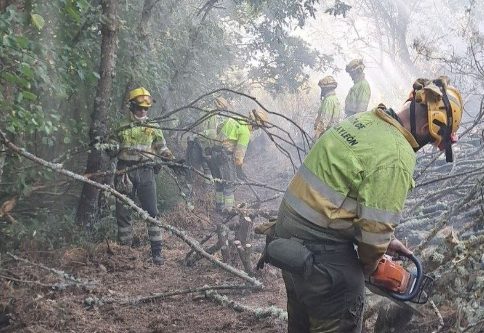 Bomberos forestales de la Junta de Castilla y León actuando en un incendio