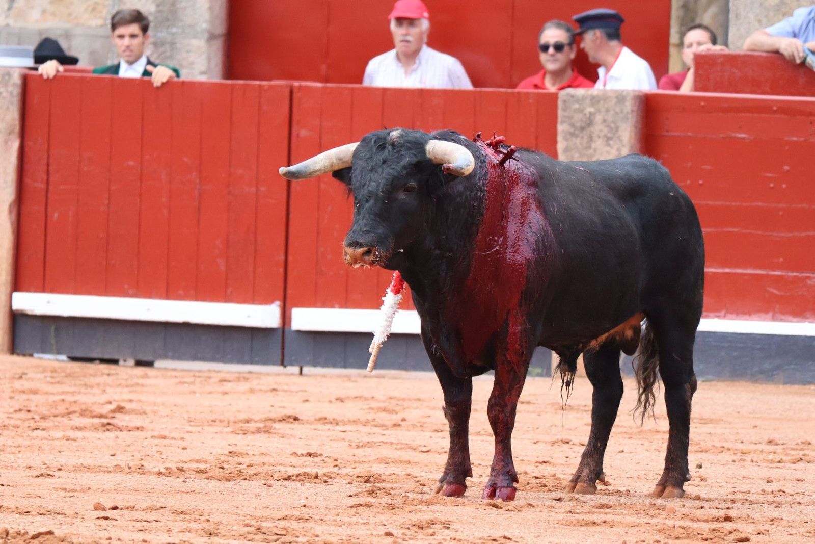 20230909172111-img-0427