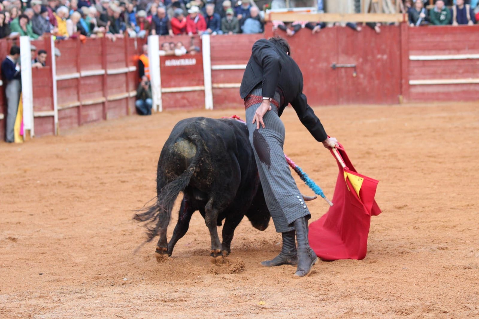 whatsapp-image-2023-02-21-at-17-38-29-1