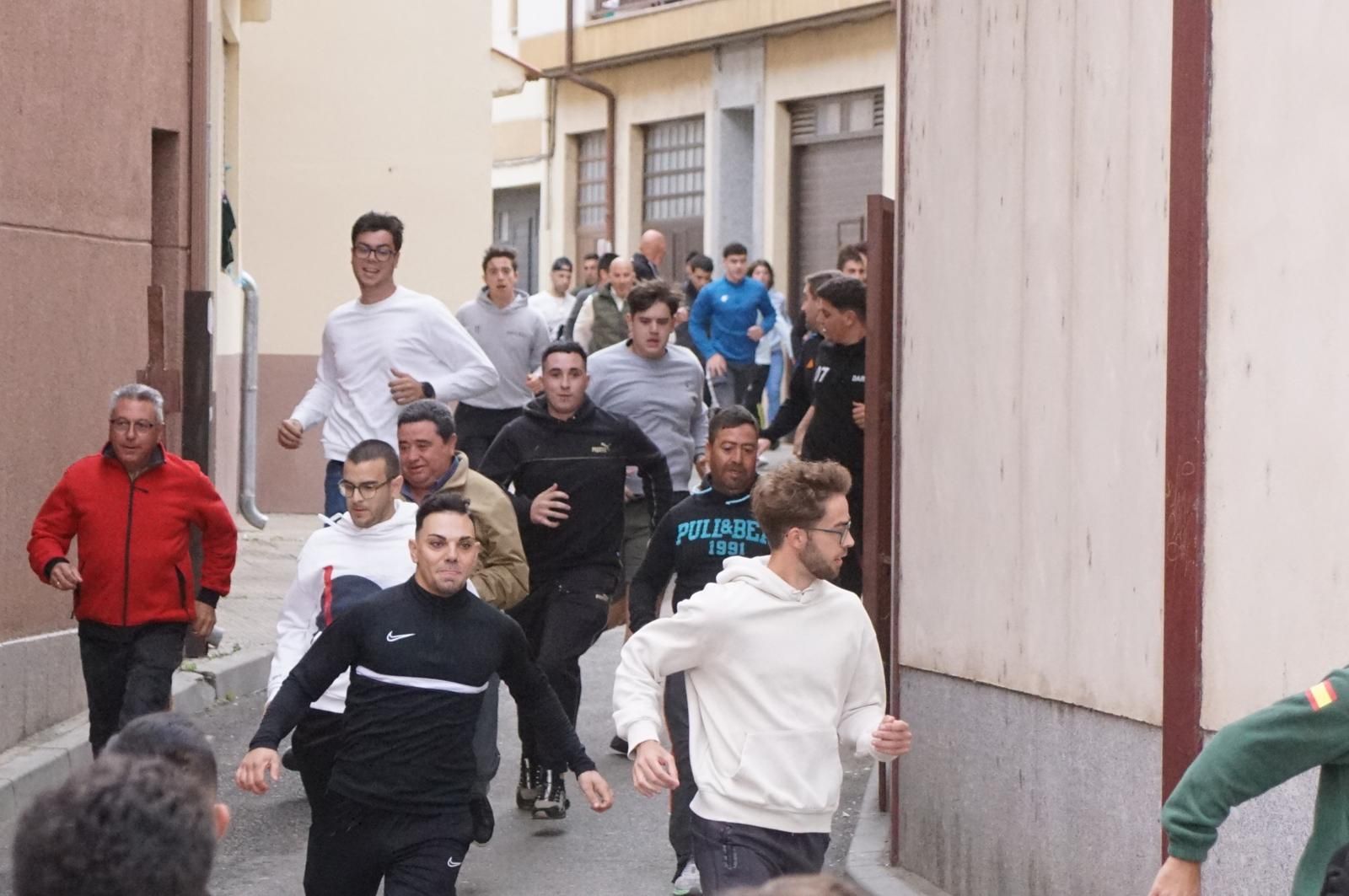 Alba de Tormes celebra un encierro, capea y encierro de minibueyes