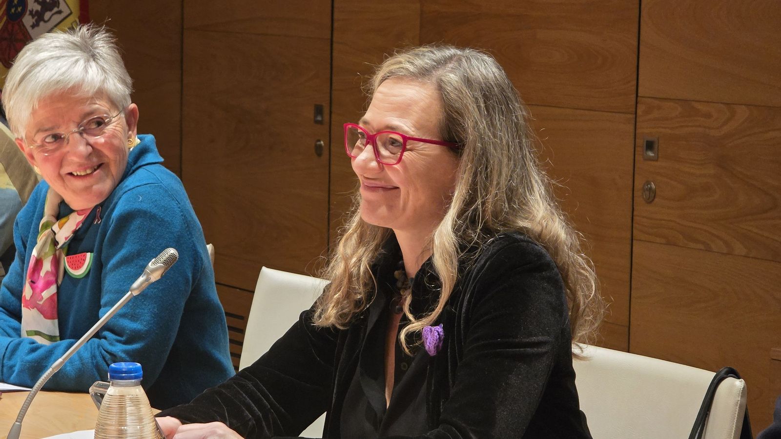 Conferencia Violencia institucional contra las mujeres desde el Franquismo hasta hoy