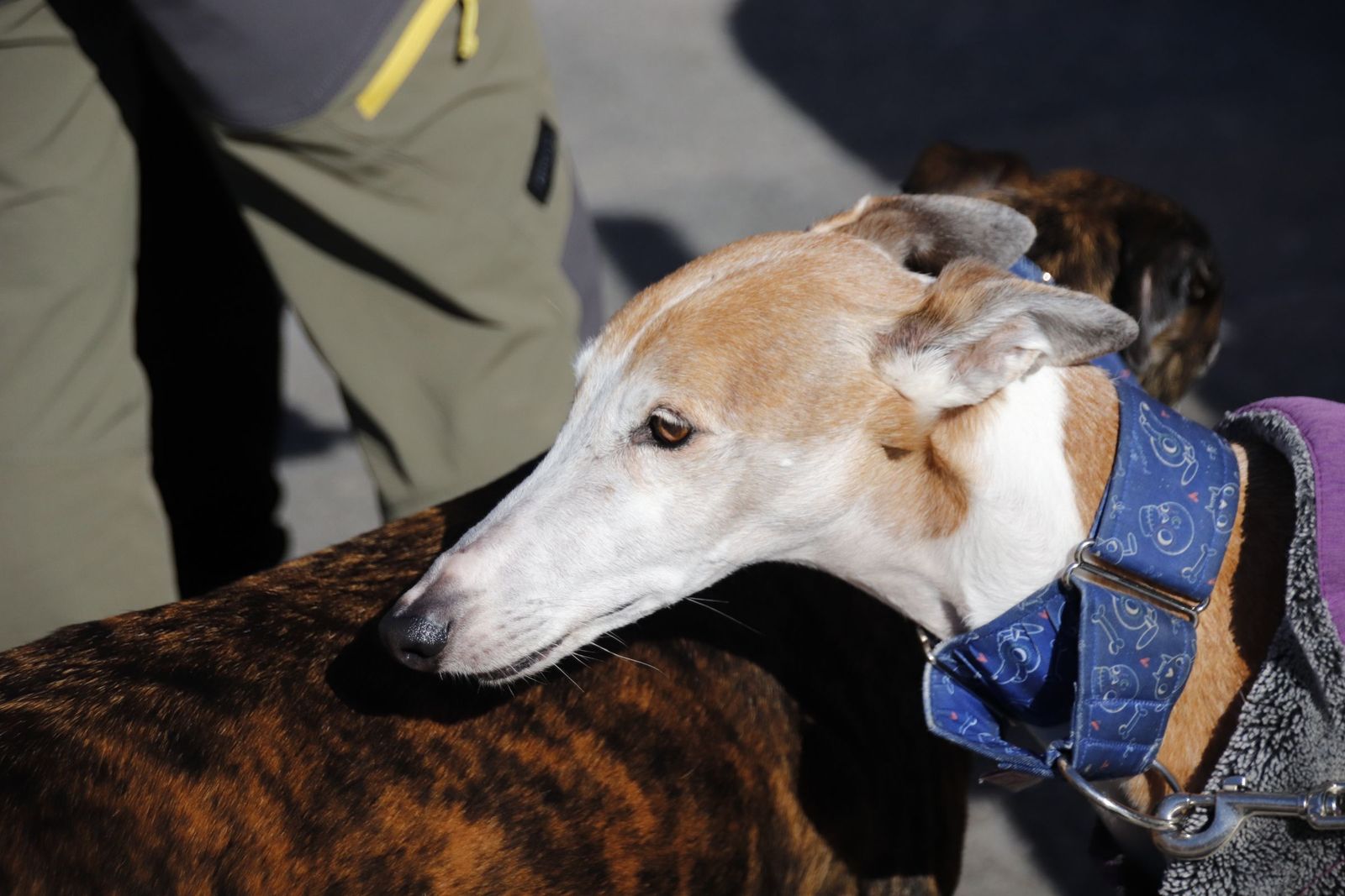 20230205121238-mg-5698