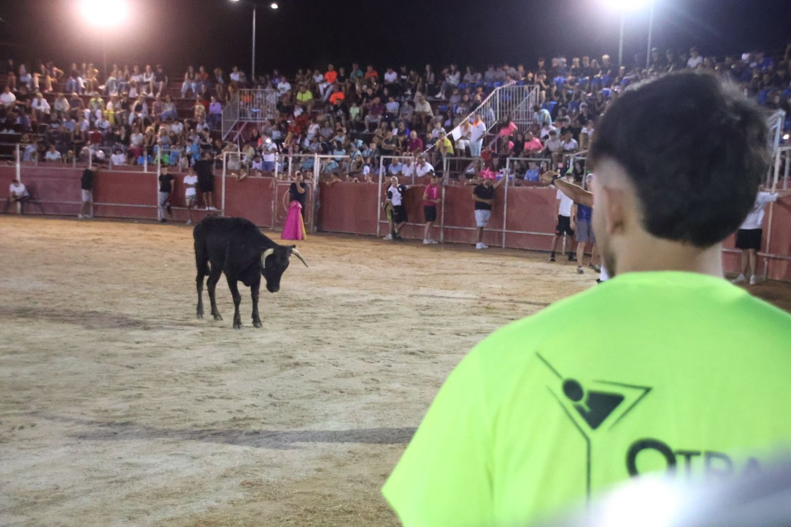 20240815215534-img-3780