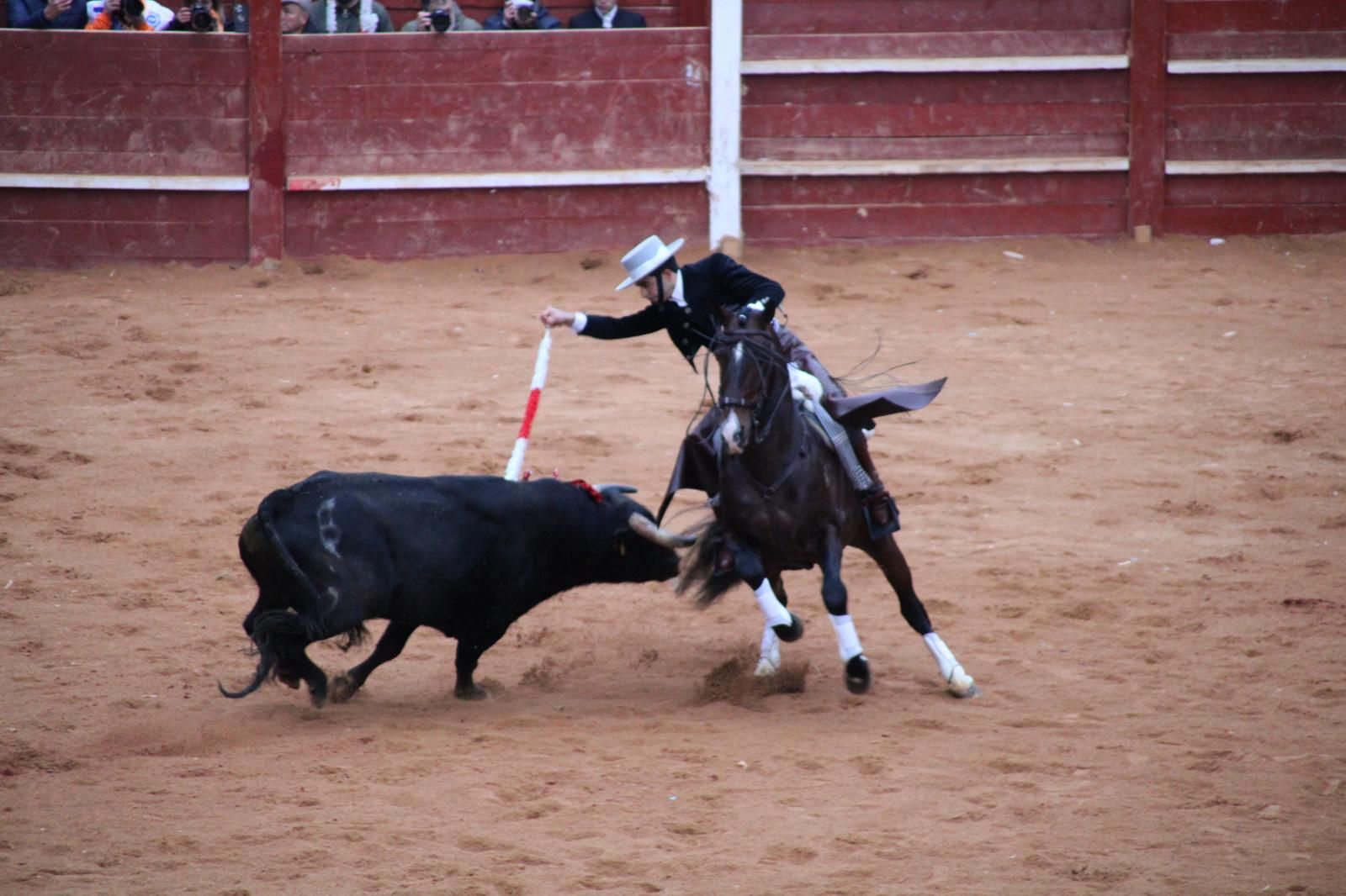 whatsapp-image-2025-03-02-at-18-56-08