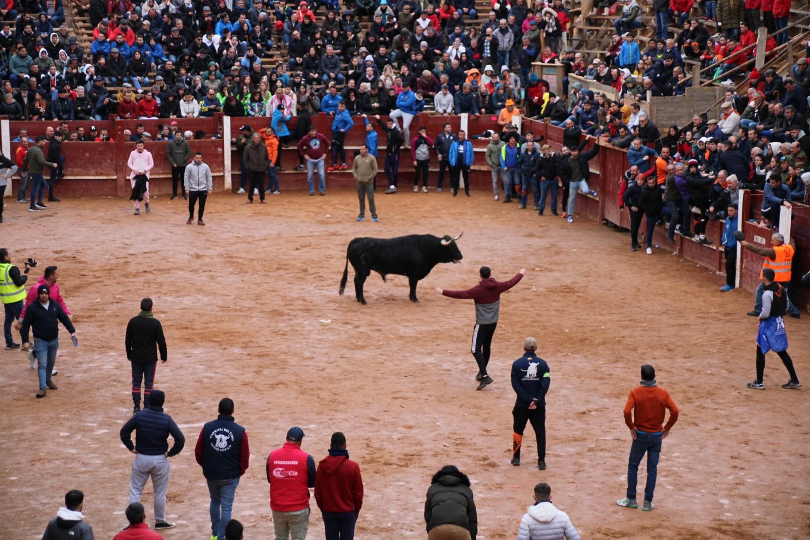 toro-del-aguardiente-en-ciudad-rodrigo-carnaval-24-17