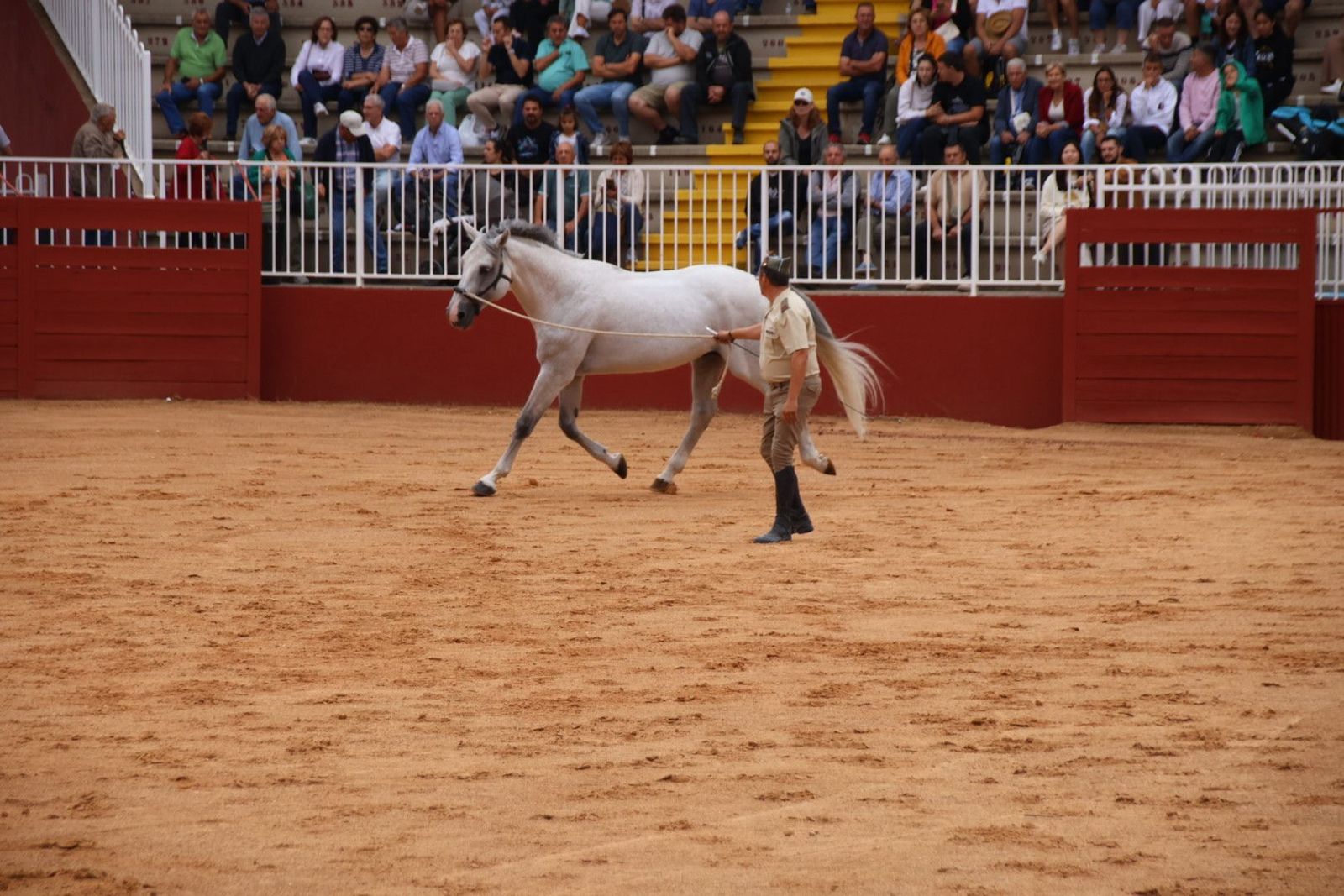 20230902111707-img-7064