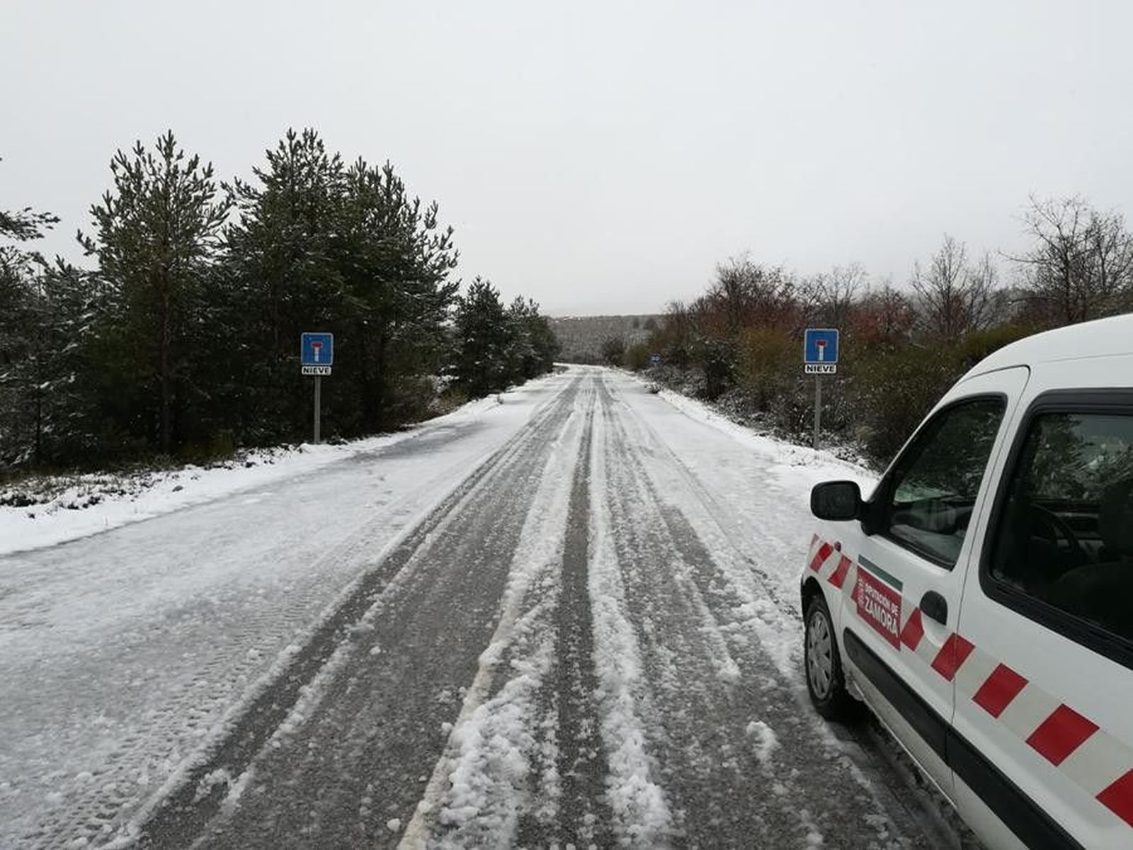 Alto Vizcodillo Cortado