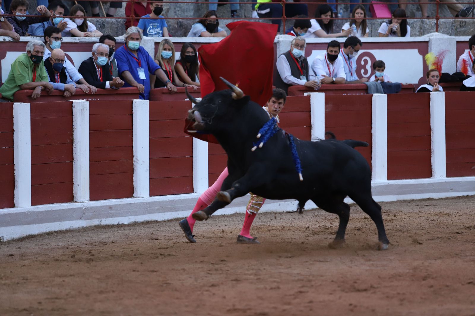 roca-rey-pablo-aguado-y-daniel-luque-en-zamora-26