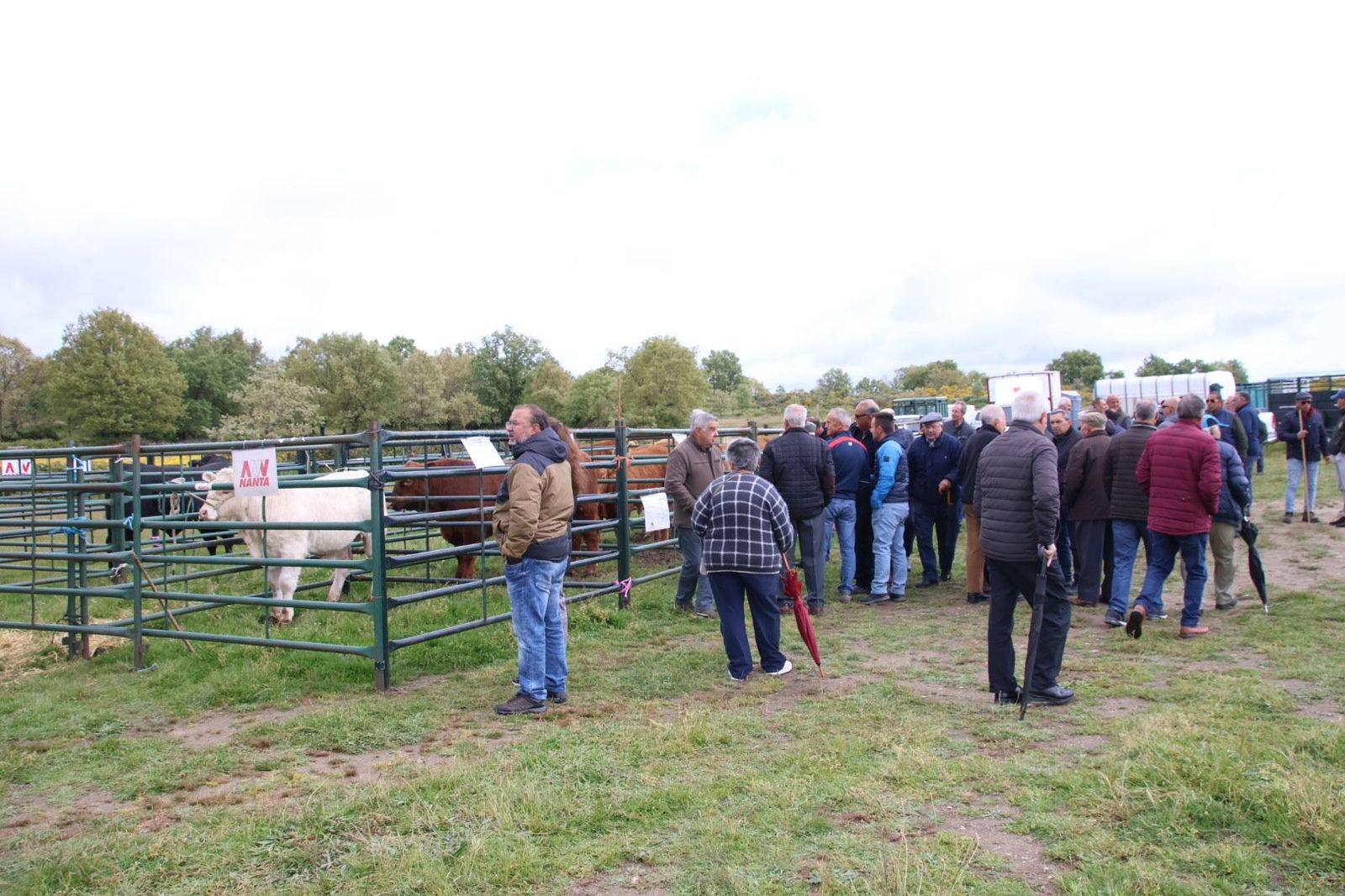 20240501104811-img-2985