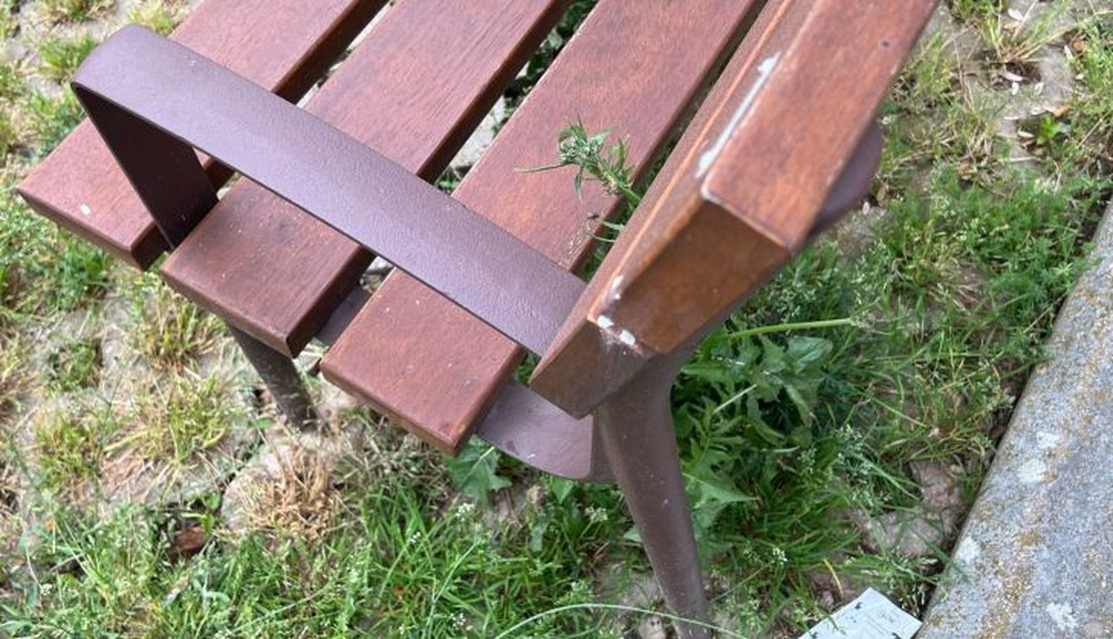 Maleza en el bulevar de Jesús García Rodríguez