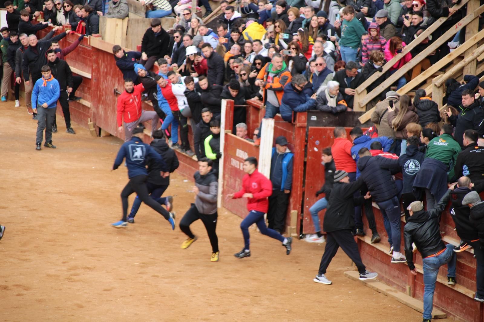 Encierro del lunes de Carnaval en Ciudad Rodrigo, toros de Fermín Bohórquez