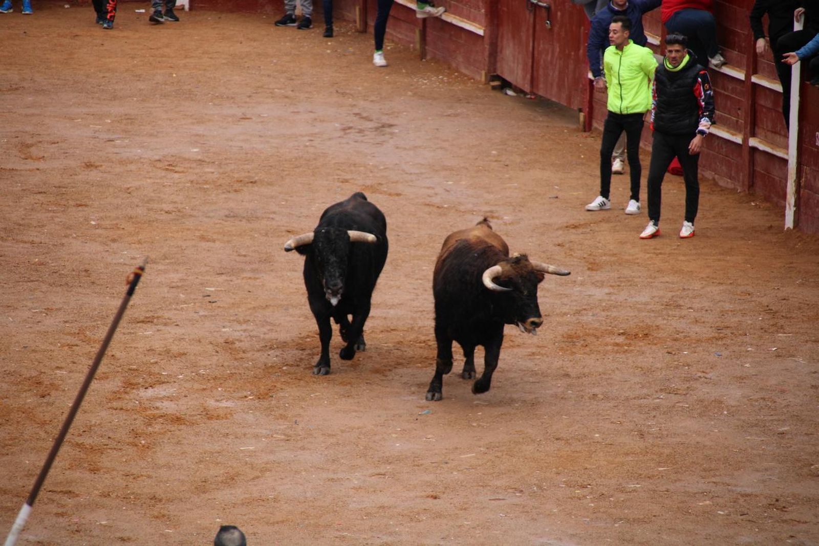 whatsapp-image-2024-02-11-at-11-41-49-6