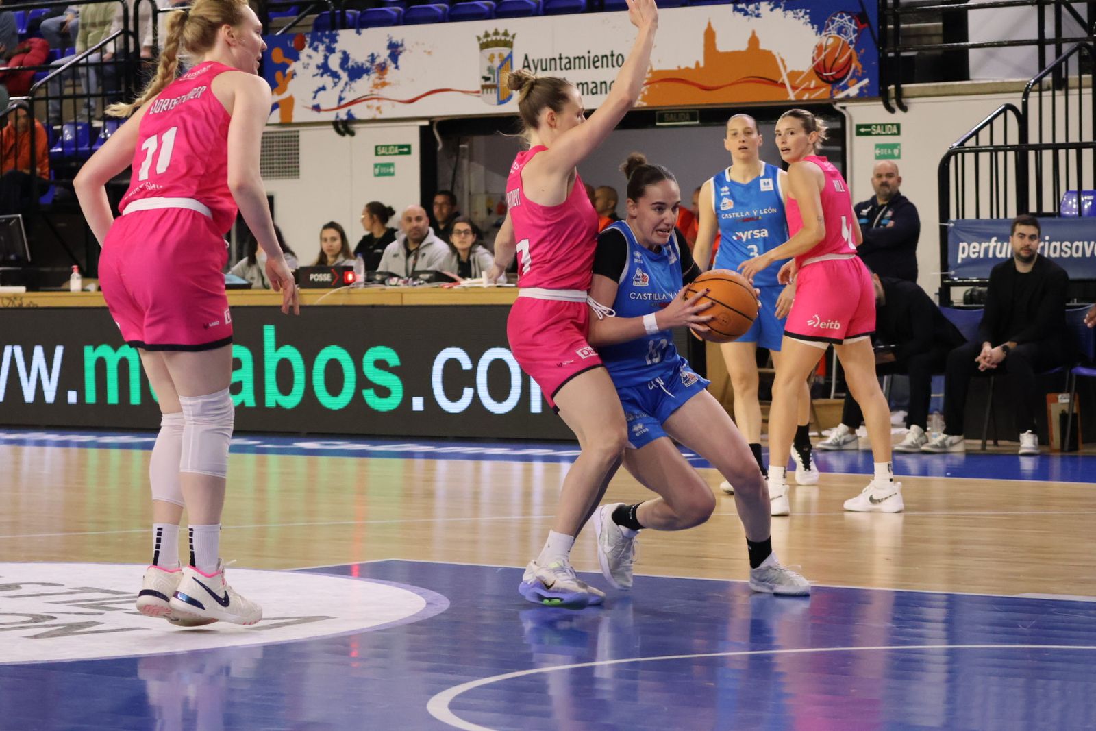 Perfumerías Avenida - Araski