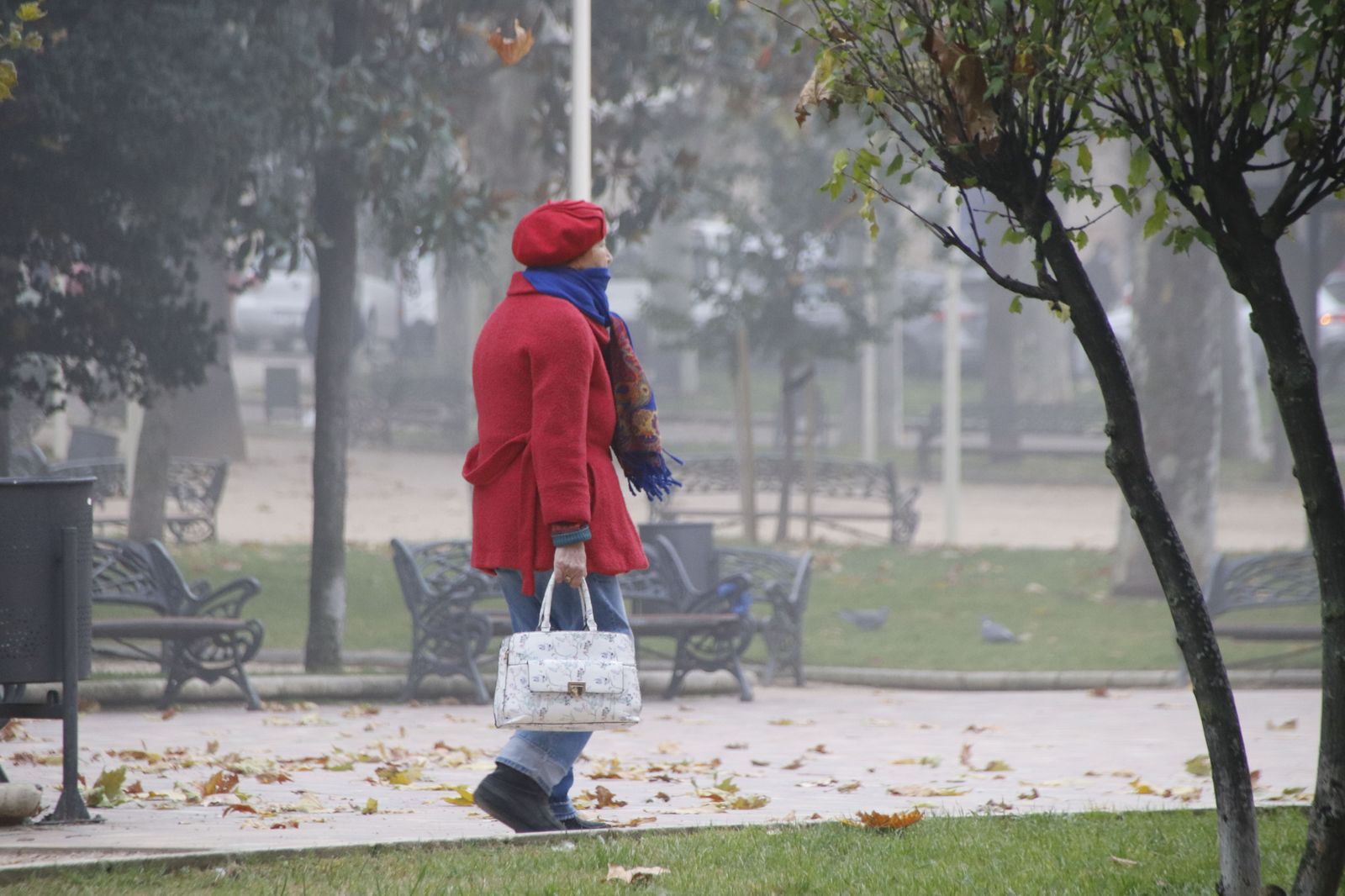 Otoño en el parque de la Alamedilla. Foto de archivo