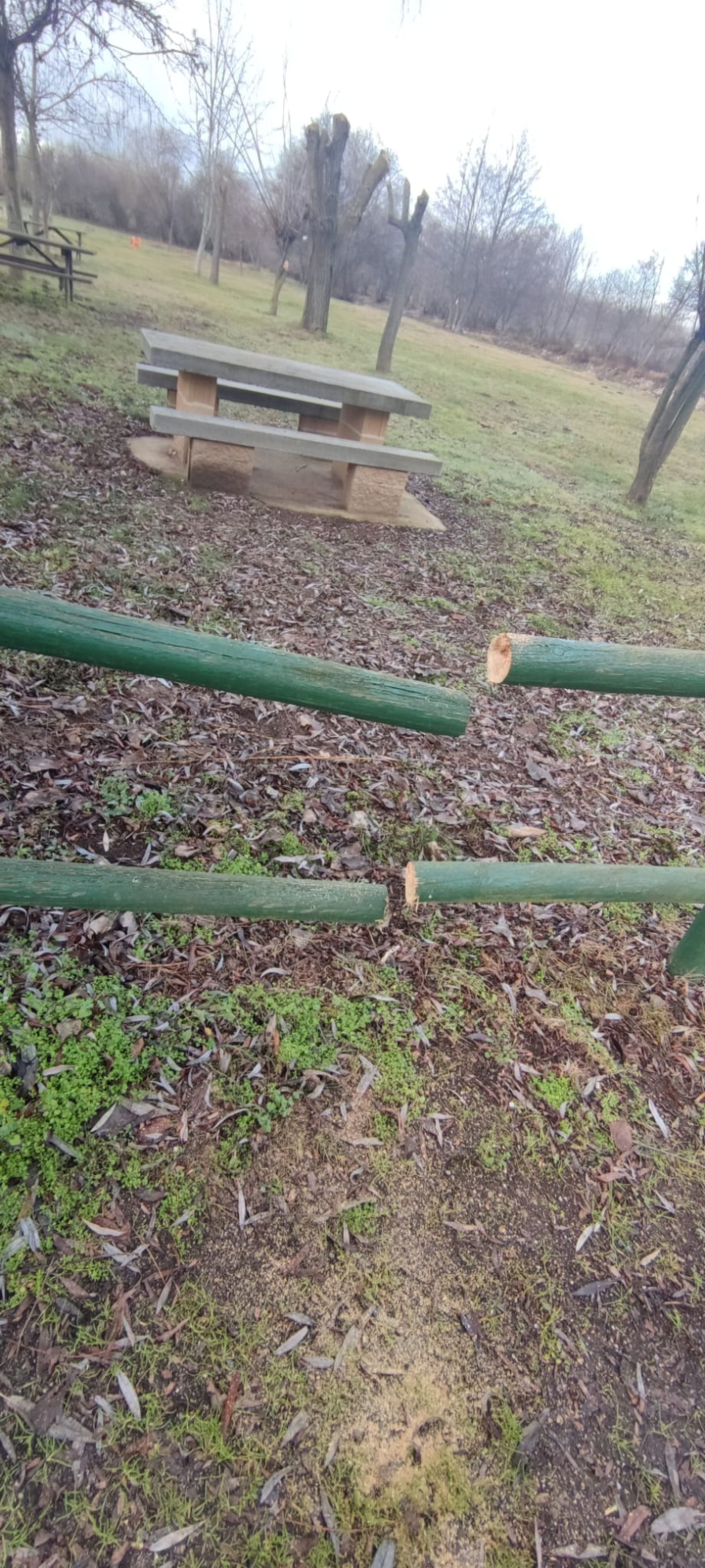 whatsapp-image-2024-01-04-at-13-16-45